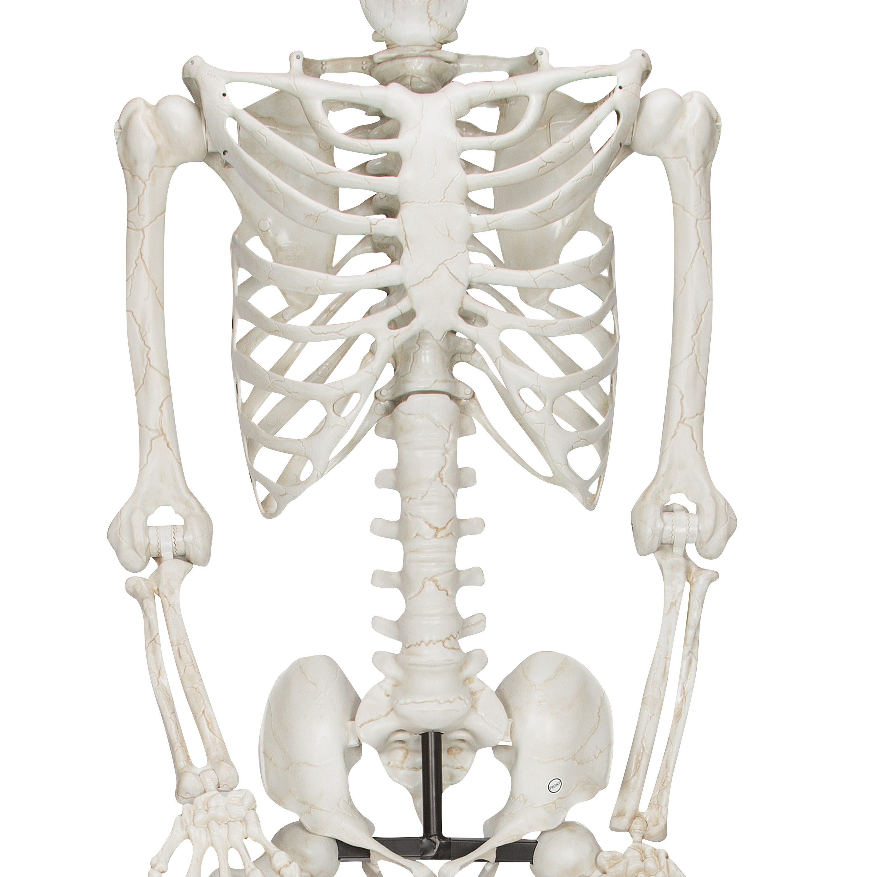 Haunted Living 554568 Outdoor-Halloween-Decor - View #4