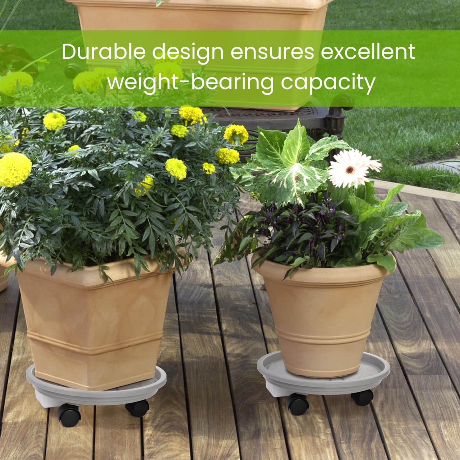 Angel Sar L2FHA529PLTCD17 Plant-Caddy-Cart - View #6
