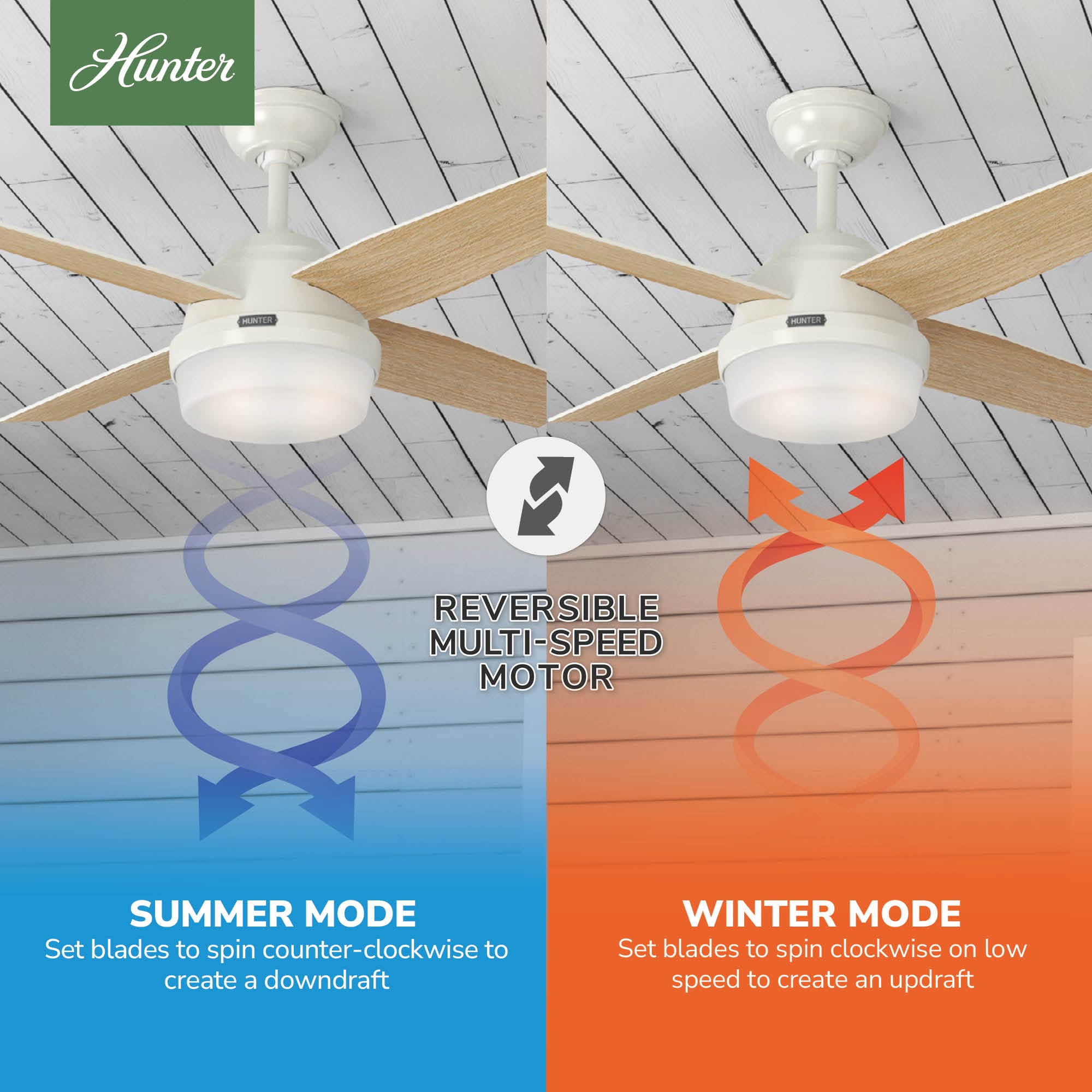 Hunter 59246 Ceiling-Fans - View #8