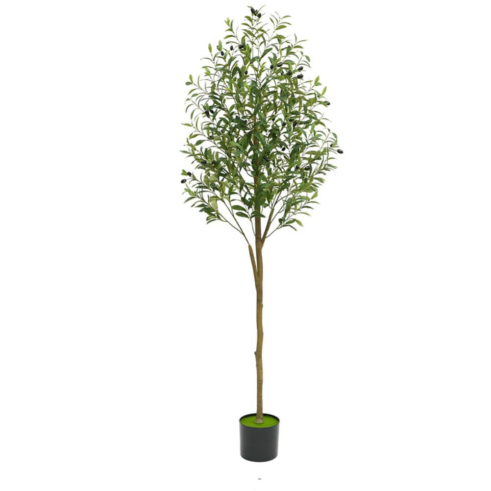 Armen Living WLS-FQZOL-8XQKM4JV Artificial-Plants-Trees - View #3