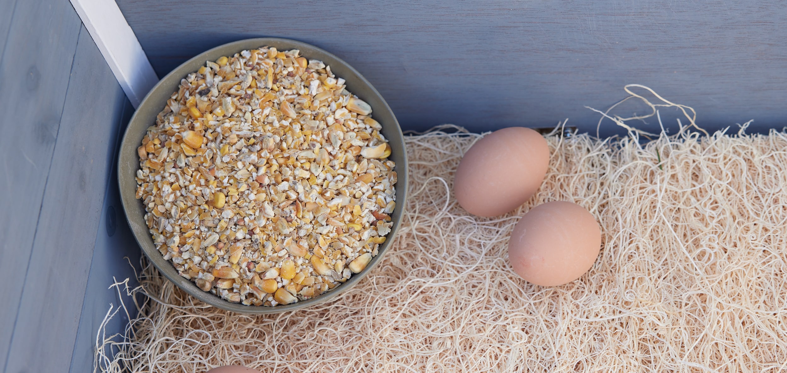Pecking Order 009687 Poultry-Feed - View #4