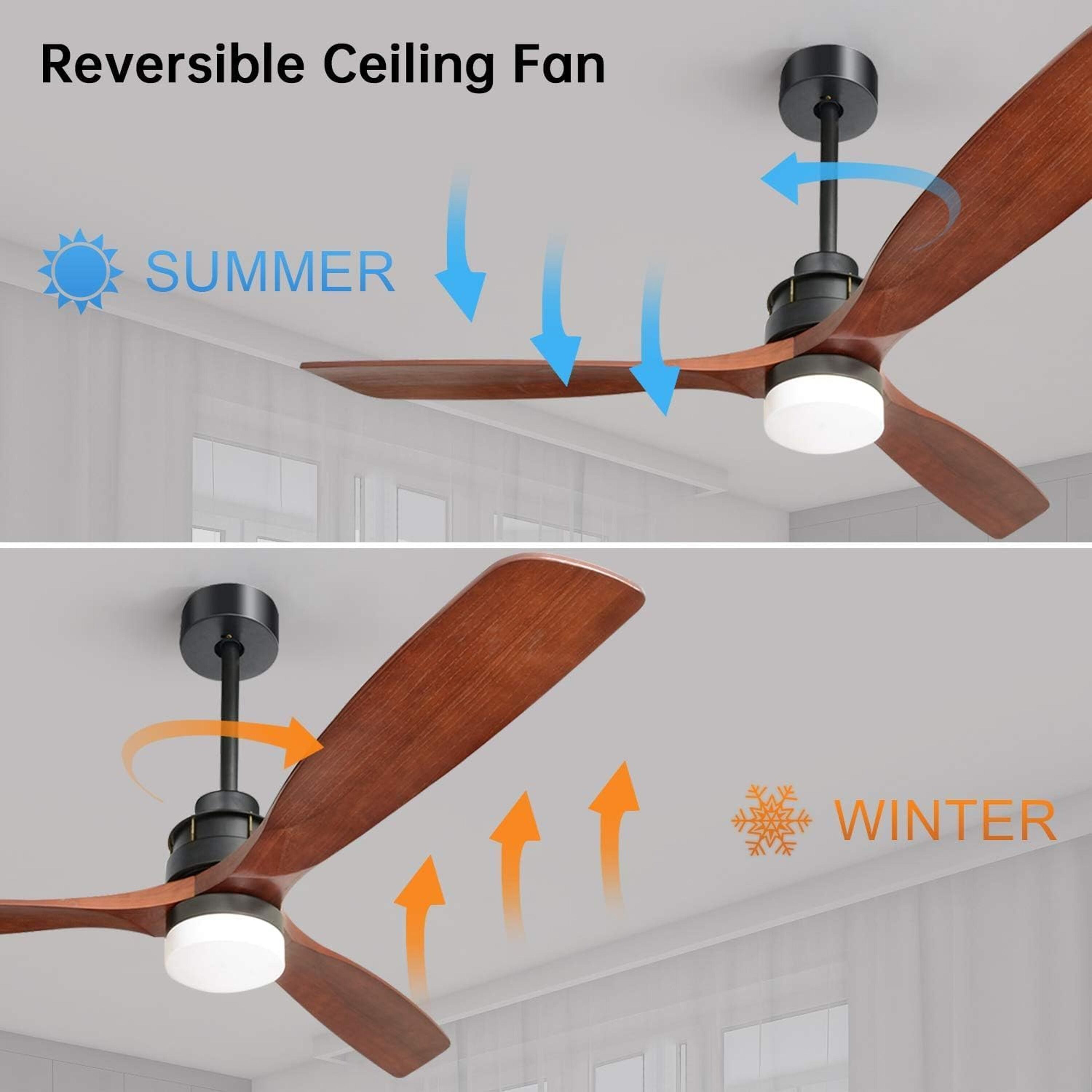 Bayfeve BFKS-47250-CF Ceiling-Fans - View #8
