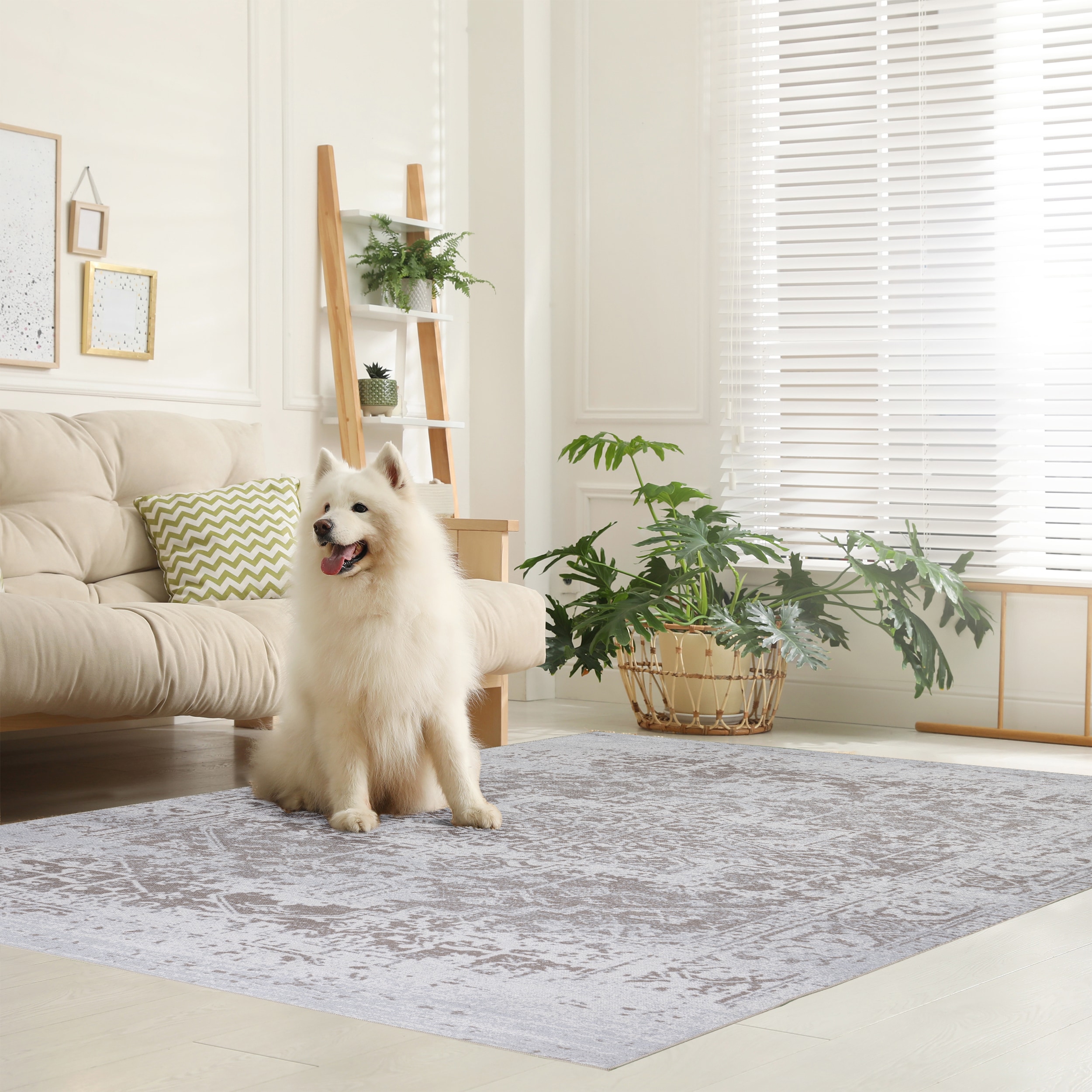 Playa Rug PLY-HMY-BGE-5X8 rugs - View #6