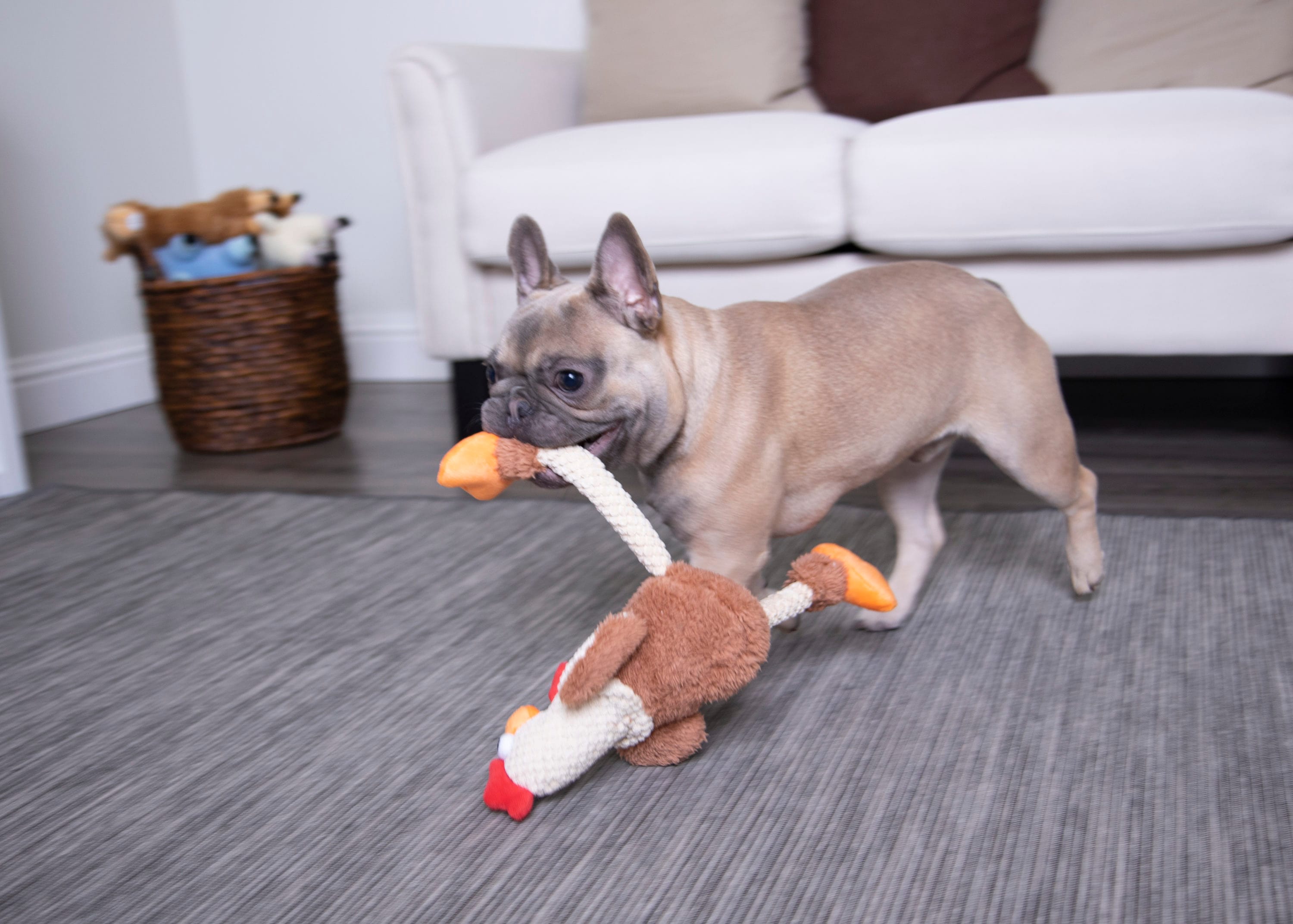 goDog 70881-48987-024 Dog-Toys - View #3