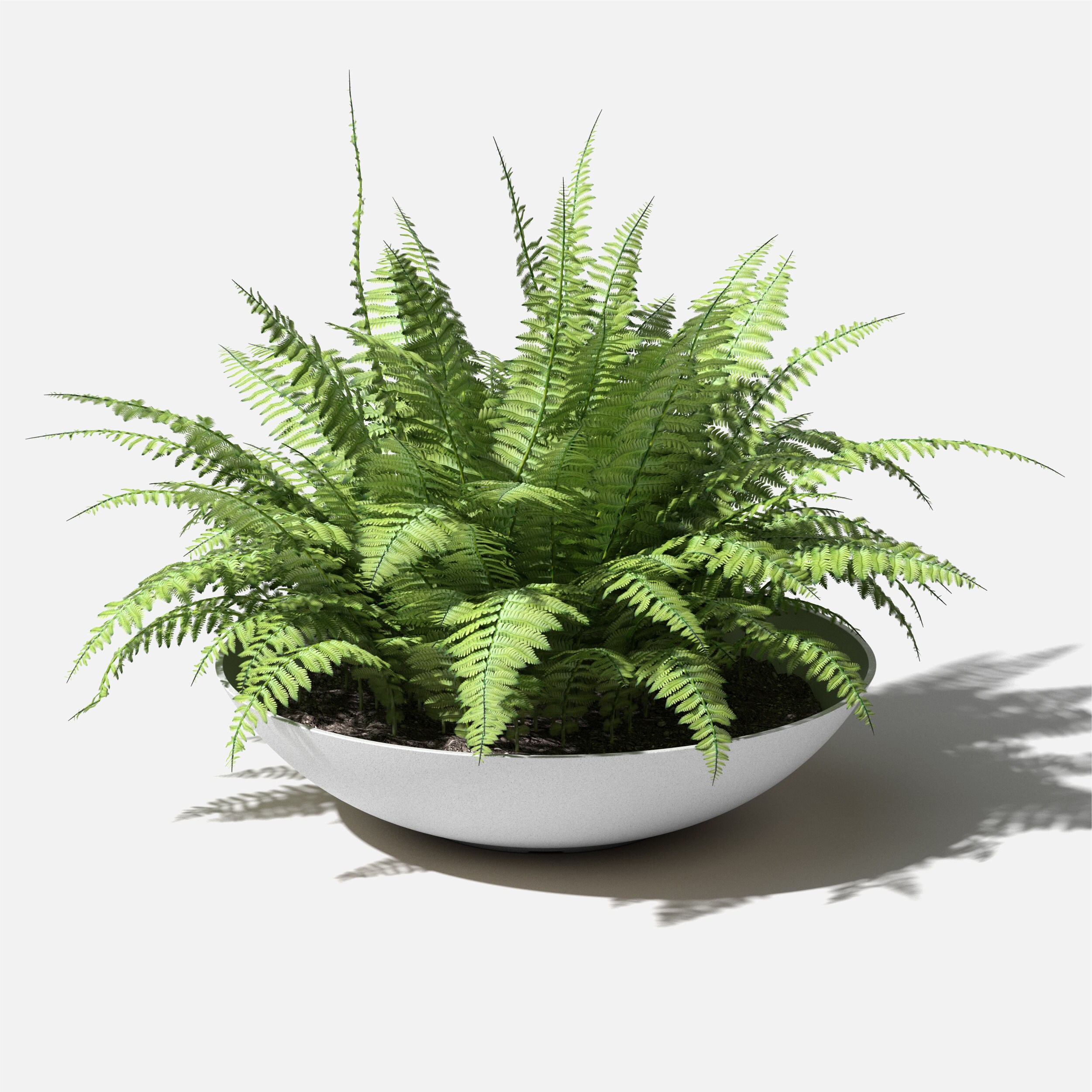 Veradek LBV32W Planter-Window-Box - View #9