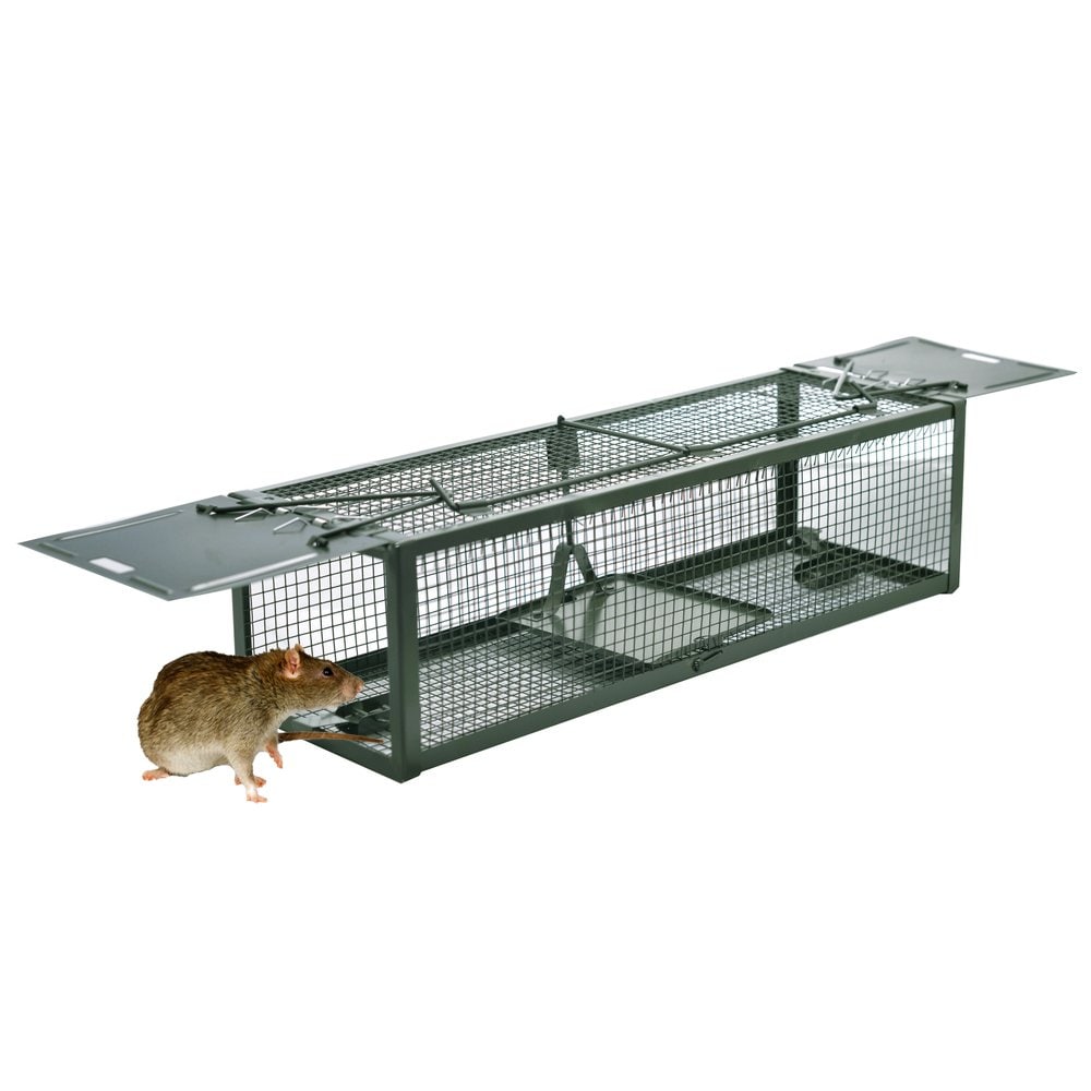 Misopily Humane Animal Live Cage Rat Cage Trap with 2 Doors for Mice ...