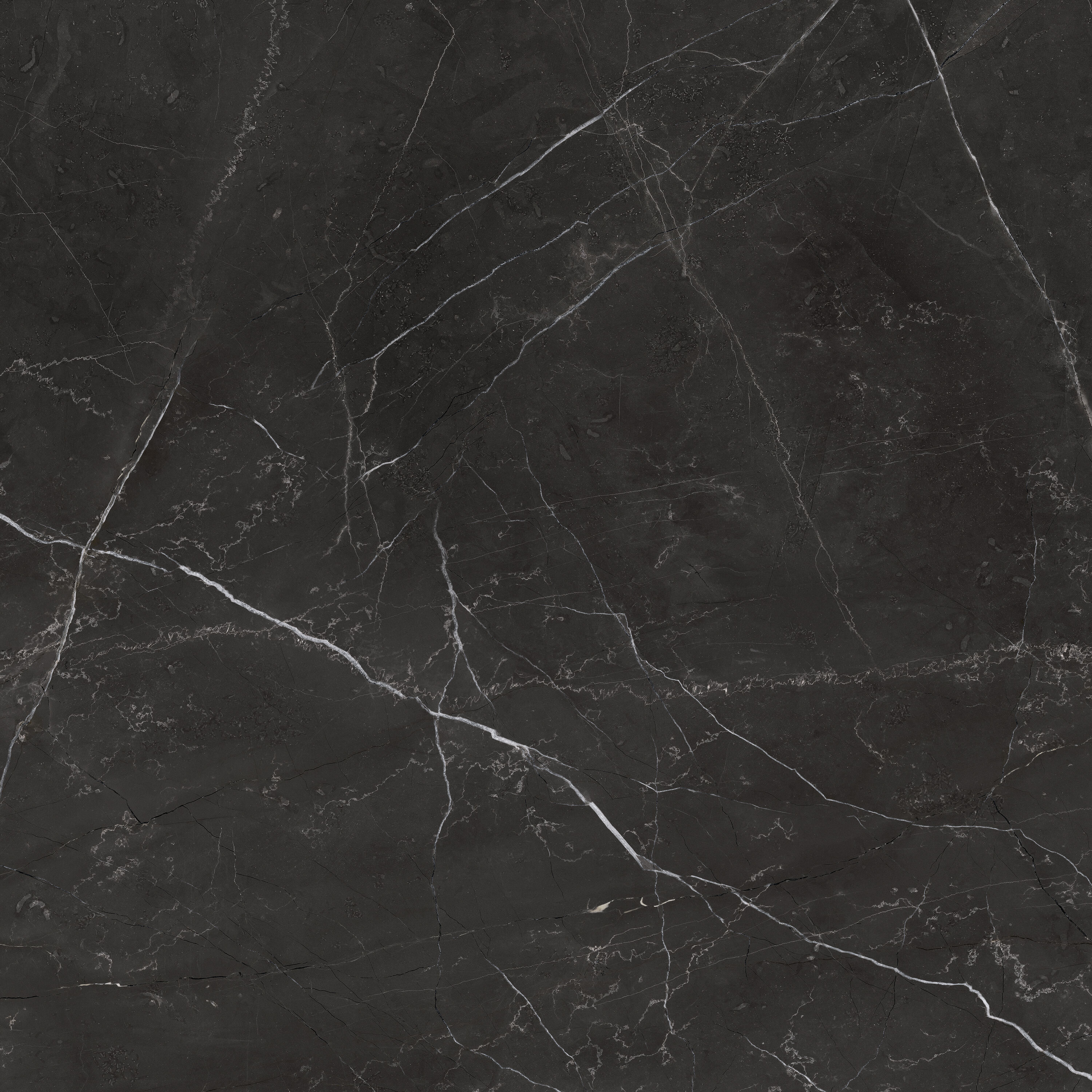 Anatolia La Marca Nero Venato 24-in x 24-in Honed Porcelain Marble Look Floor and Wall Tile (15.5-sq. ft/ Carton)