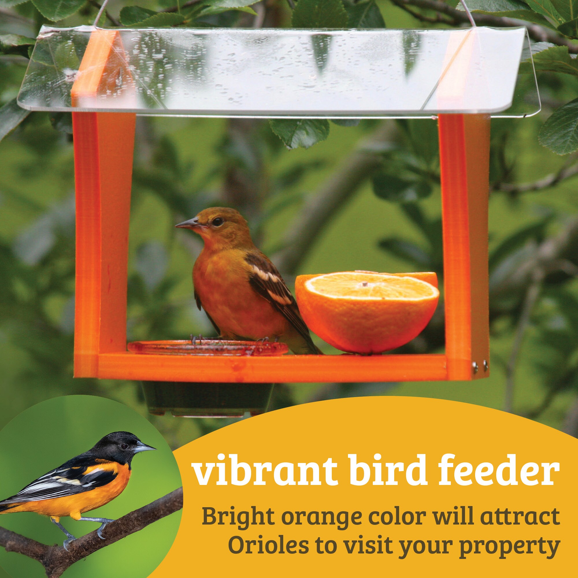 BIRDS CHOICE GSOF Bird-Feeders - View #9