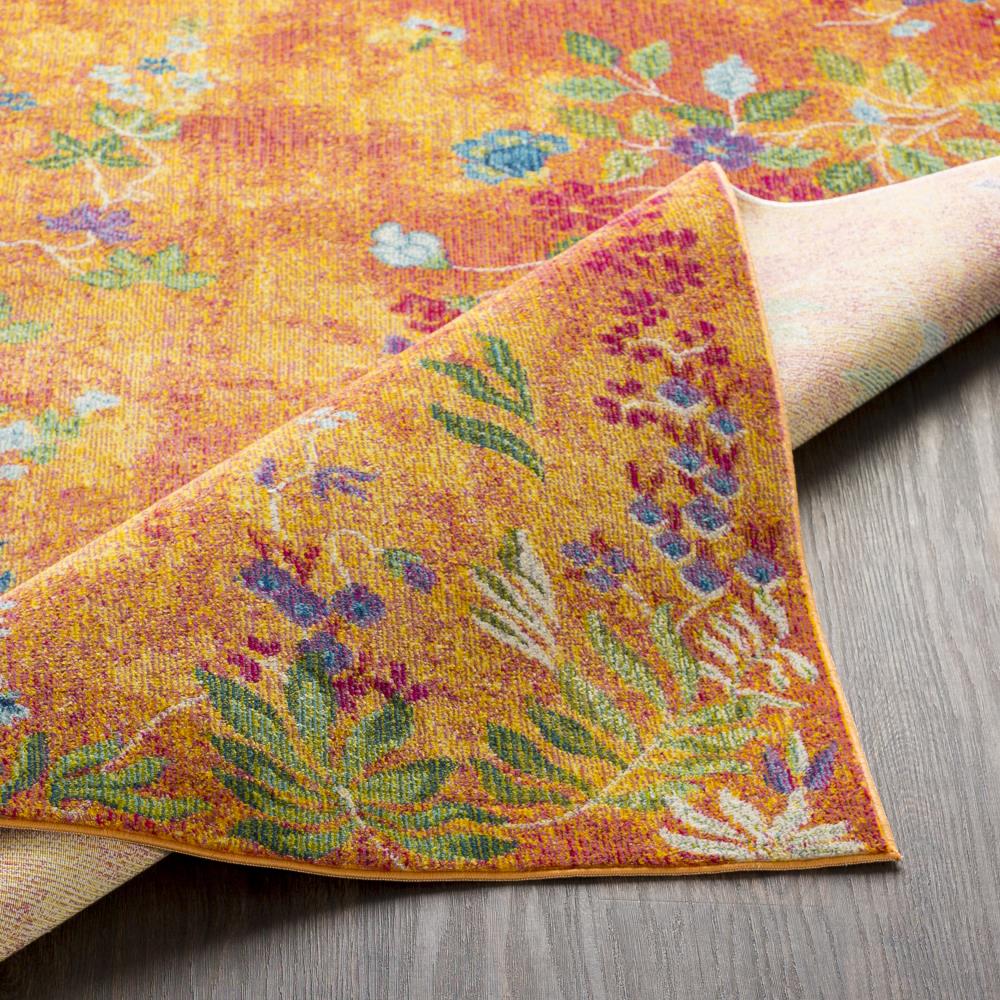 Surya ASK2333-2776 rugs - View #4