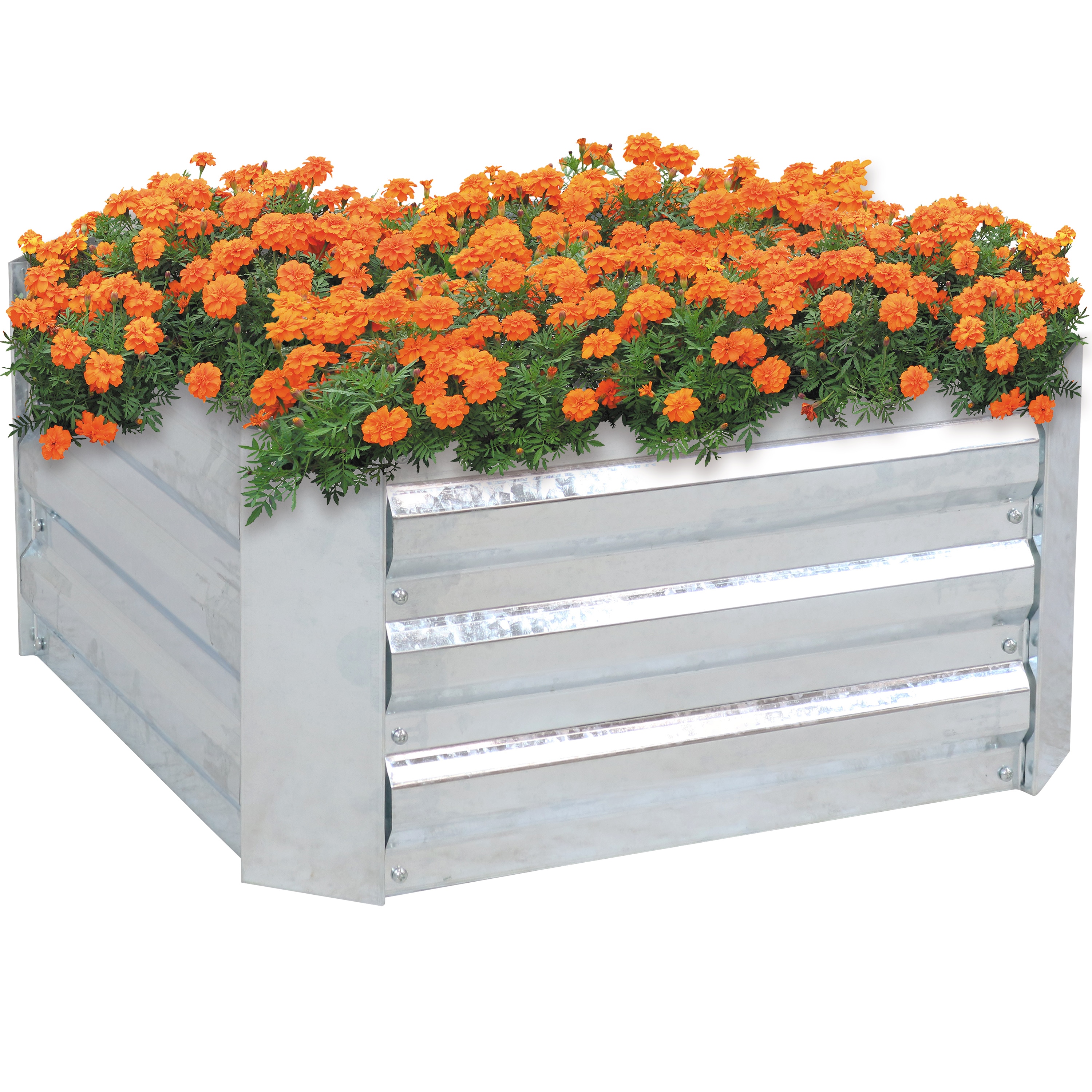 Sunnydaze Decor HB-475 24.0-in W x 24.0-in L x 11.75-in H Elevated Silver Galvanized Metal Raised Garden Bed