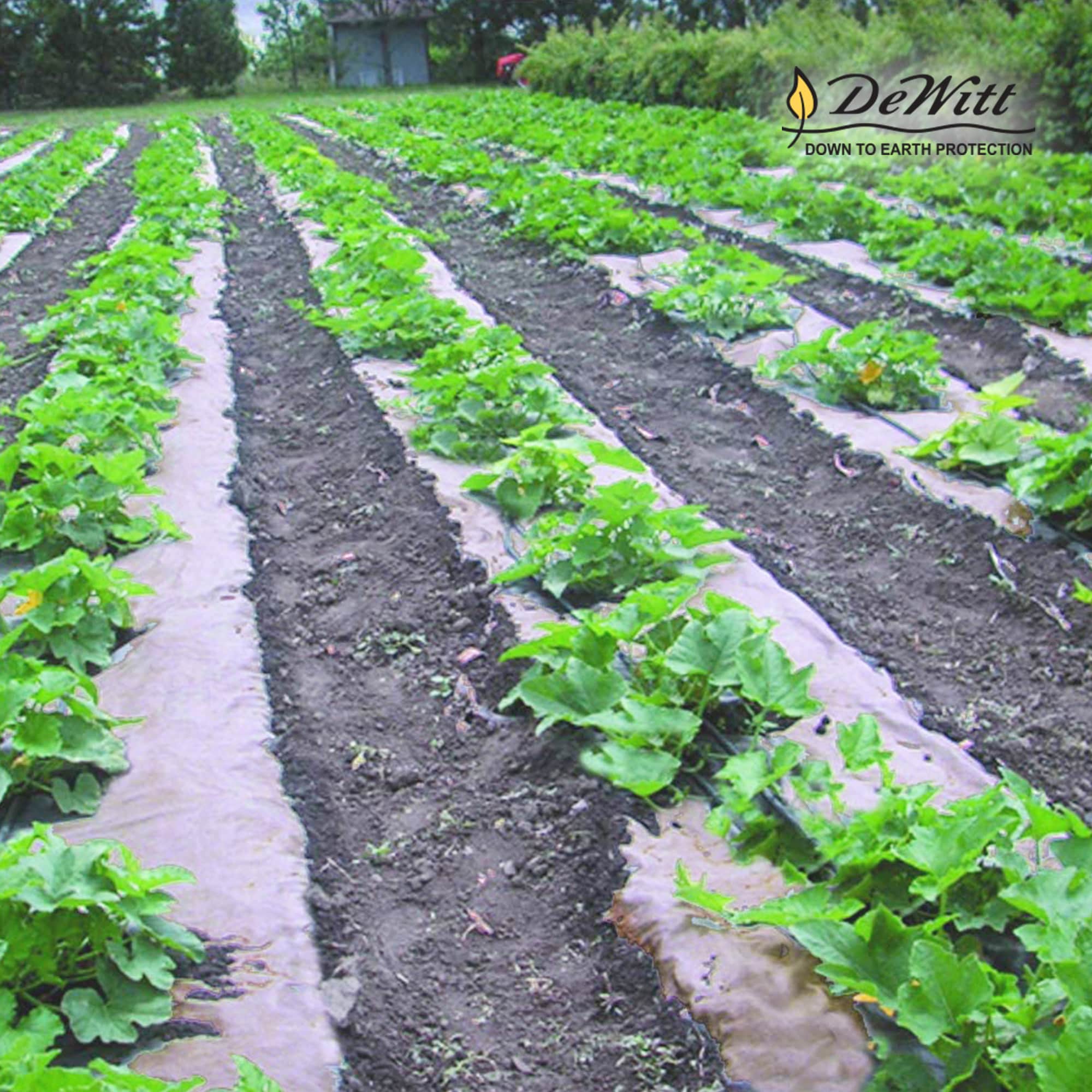 DeWitt 177866 Landscape-Fabric - View #8