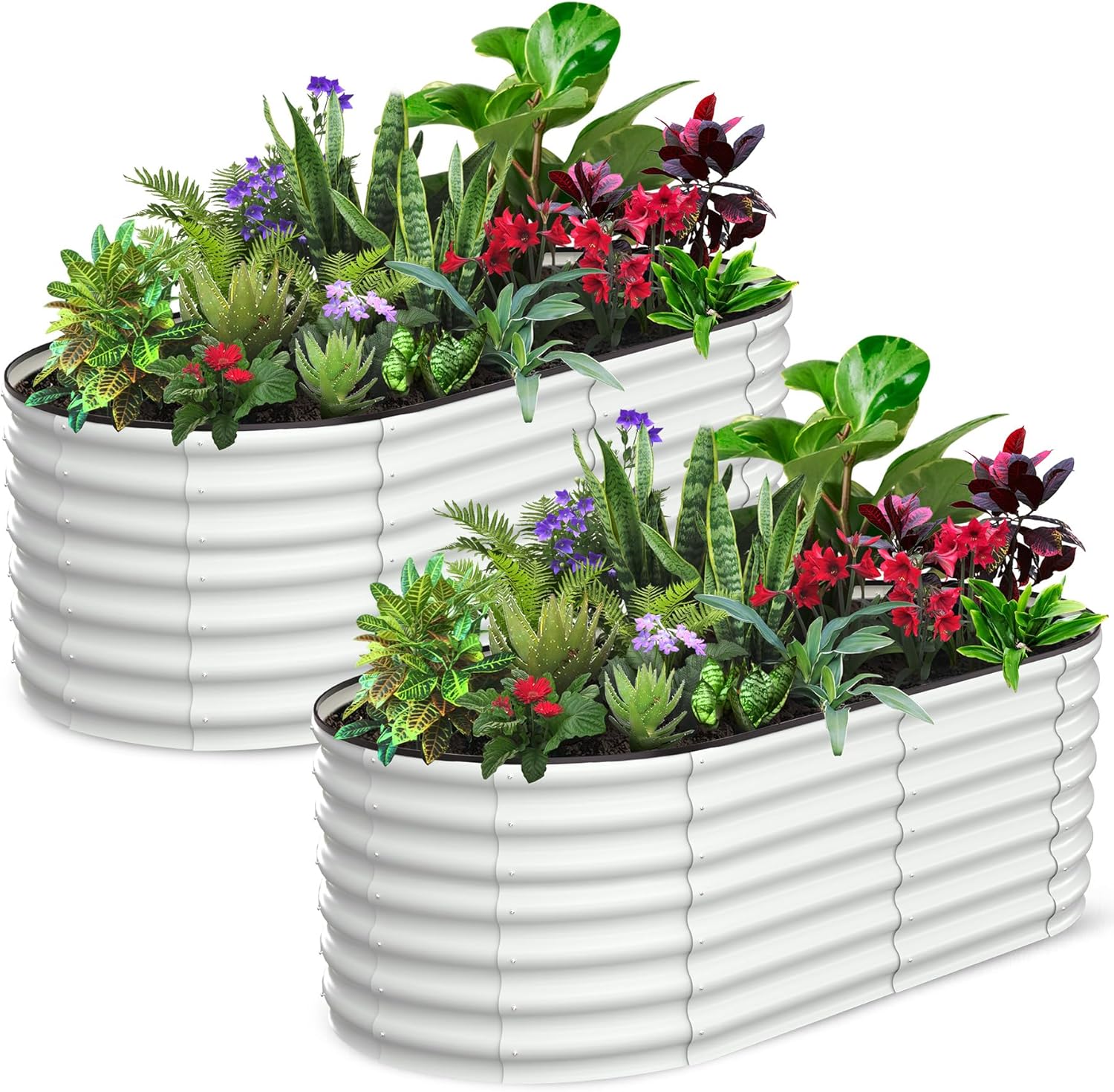 Qeetex MING-PHO-6YTJ 2pcs 6 By 3 By 2 Feet Oval Raised Garden Bed Galvanized Metal Outdoor Planter Boxes White Rust Resistant Heavy Duty Open Bottom Design Tool Free Assembly Ideal For Vegetables Flowers And Herbs White
