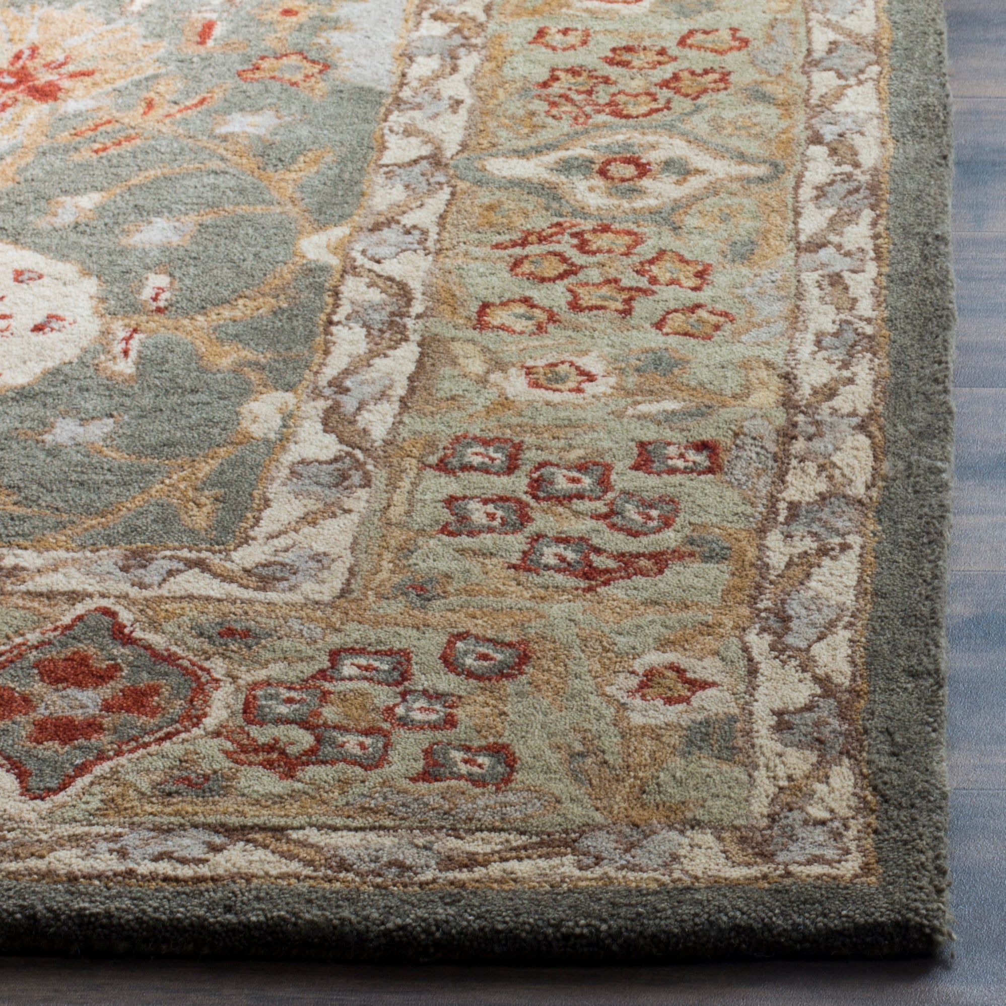 Safavieh AN516A-210 rugs - View #4