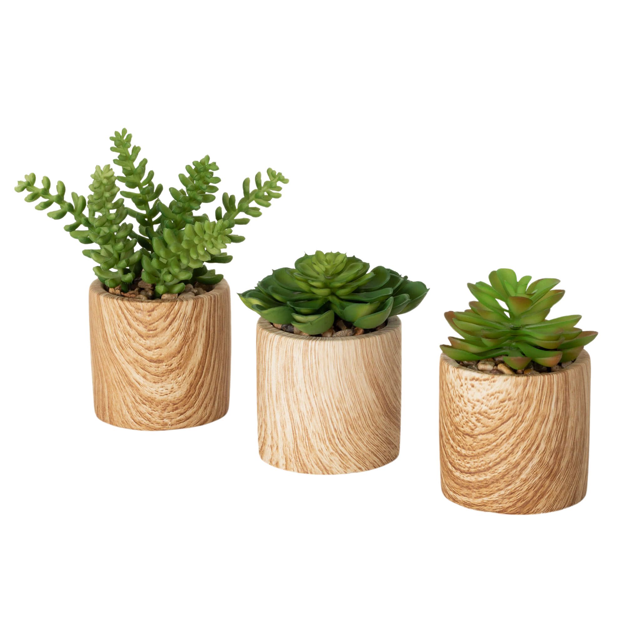 Sullivans 02976POT 7-Inches Green Indoor Desktop Succulent Artificial plant