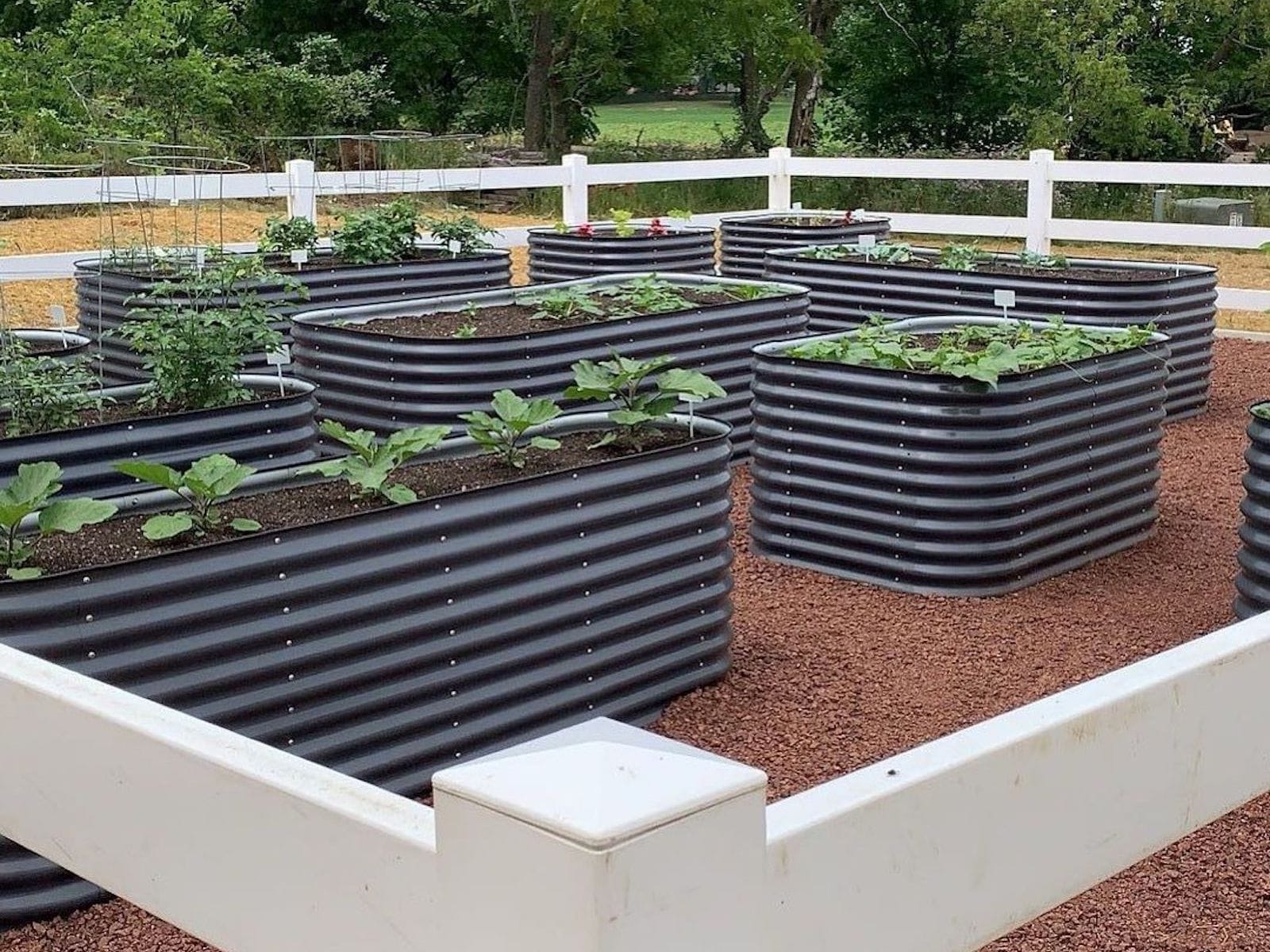 Metal Raised Garden Beds for Vegetables, Ohuhu Heightened 6 x 3 x