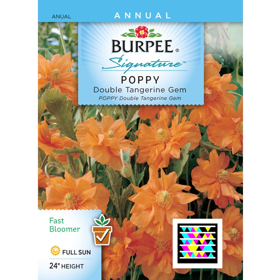 Burpee Poppy Flower Seed Packet At Lowes.com