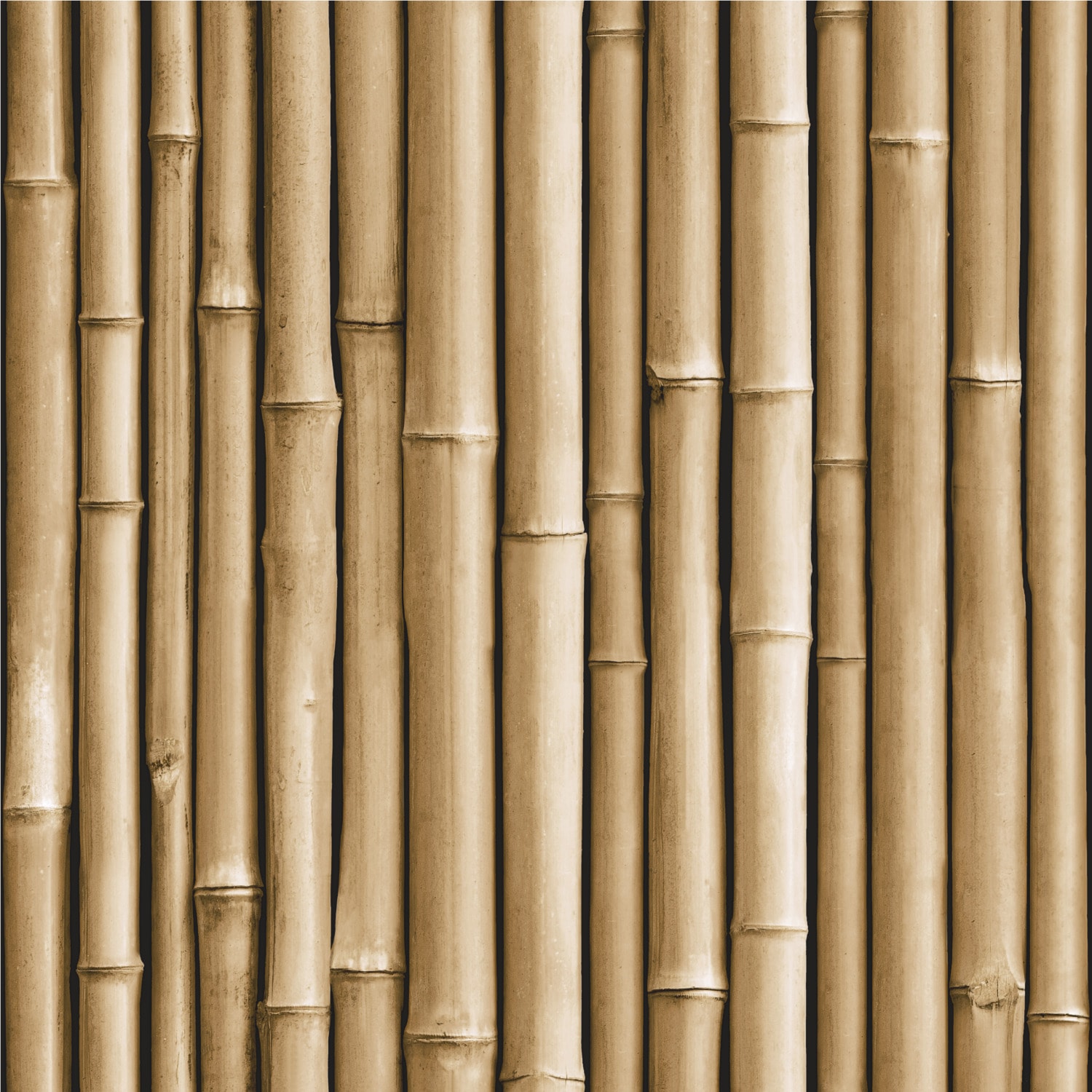 RoomMates RMK11434WP 28.19-sq ft Brown Vinyl Ivy/Vines Self-adhesive Peel and Stick Wallpaper