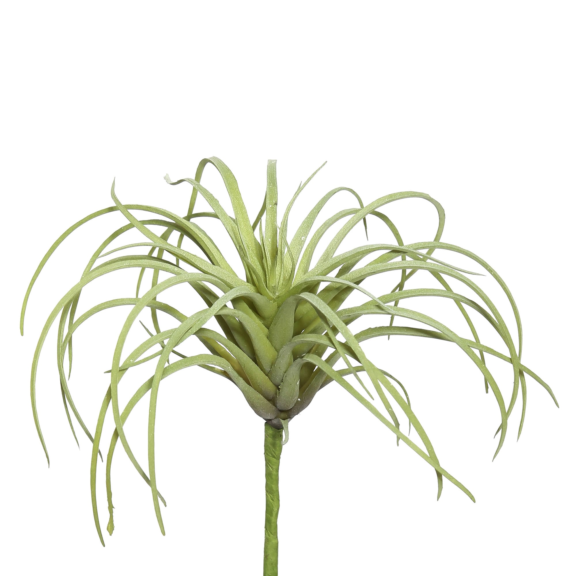 Vickerman FE171801-6 5-in Green Indoor Succulent Artificial Plant