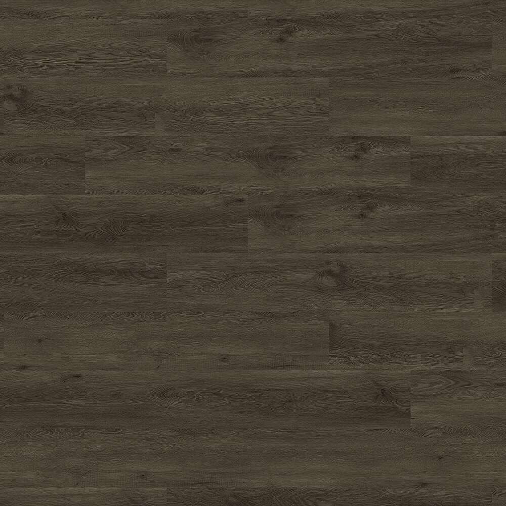 Lucida USA Gluecore Harbor Gray 22-mil x 7-3/32-in W x 48-in L Glue Down  Luxury Vinyl Plank Flooring (39-sq ft/ Carton) in the Vinyl Plank  department at