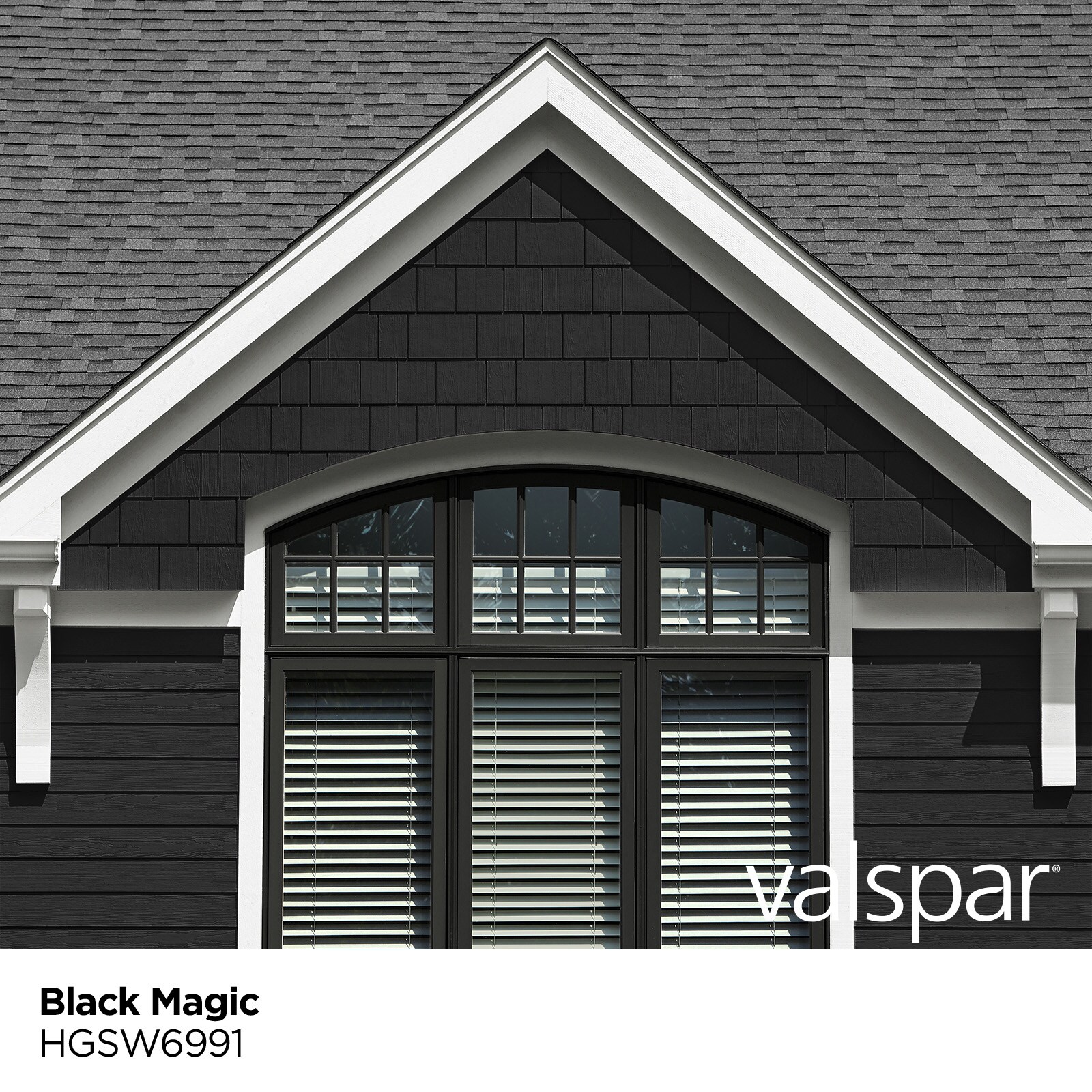 Exterior Latex Paint (Black 37875) - 1 Gal.