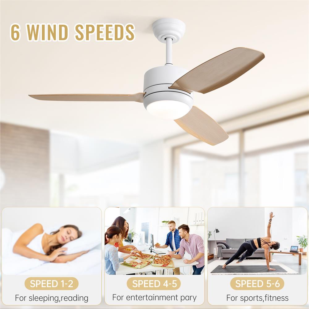 Sofucor LW-46K001-WH-QMW Ceiling-Fans - View #7