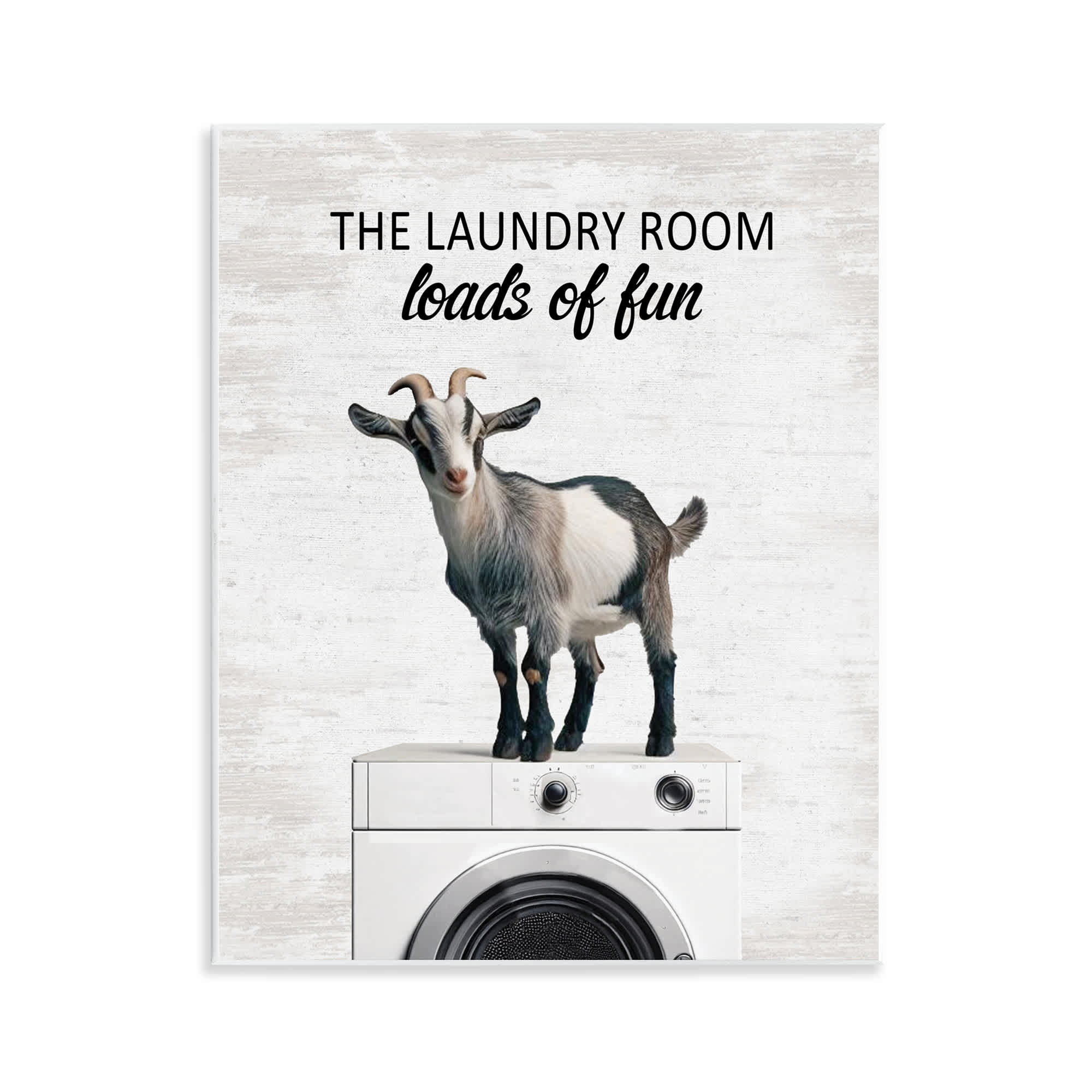 Stupell Industries BS-867-WD-11X14 Loads of Fun Laundry Goat Wall Plaque Art By Lettered and Lined 11 x 14