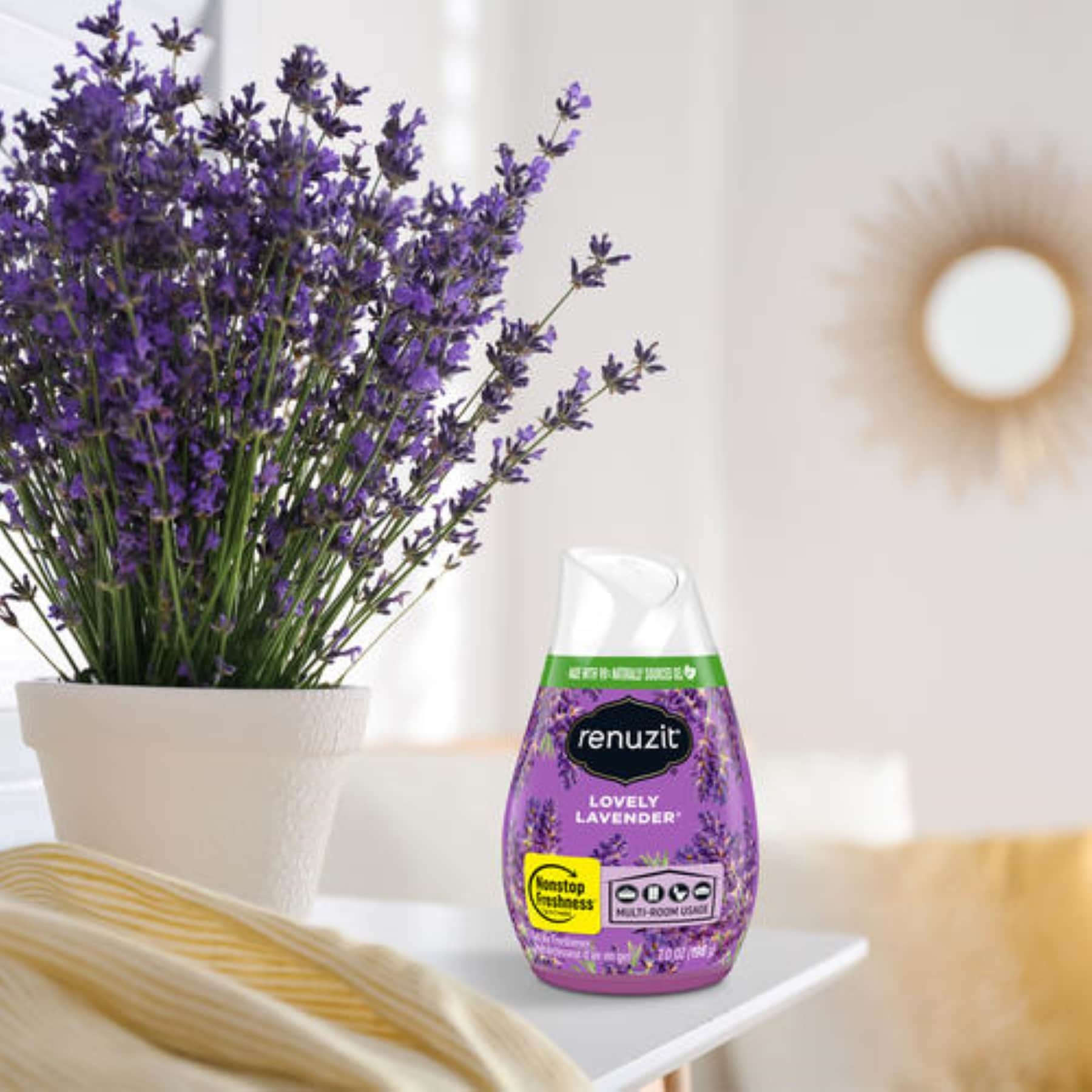 Renuzit 43343 Air-Fresheners - View #3