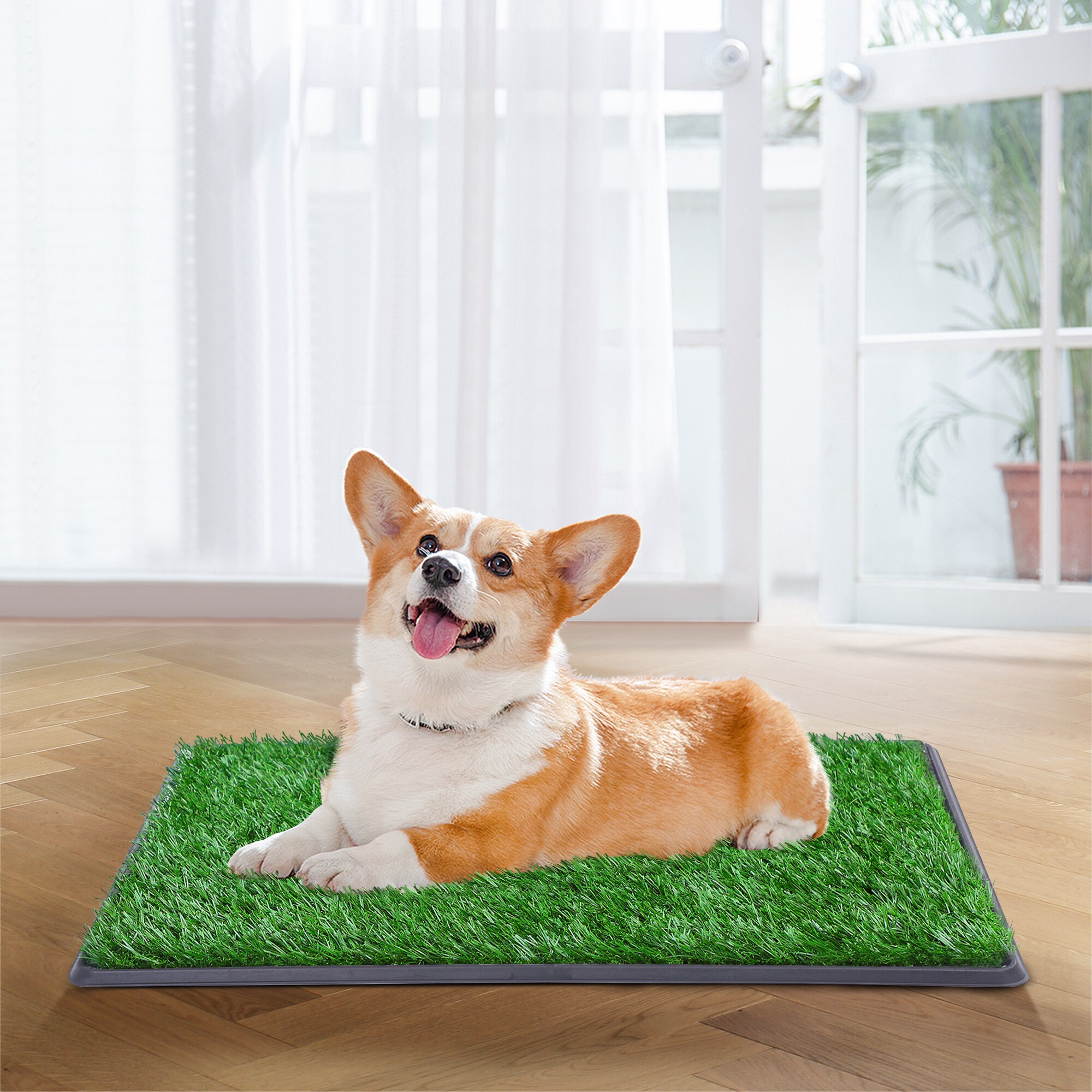 Coziwow CW12R0048-L02 20-Inches x 30-Inches Reusable Polyethylene Artificial grass mat