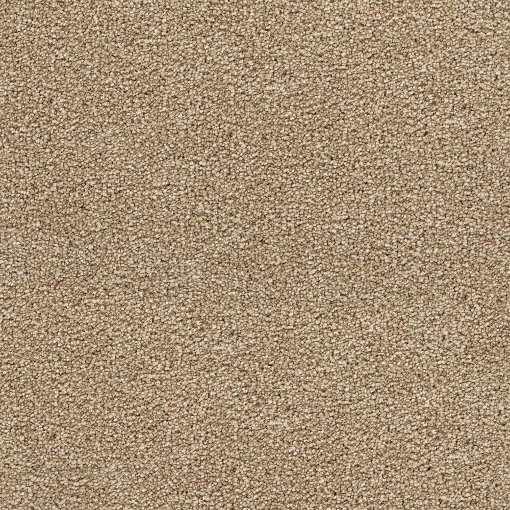 STAINMASTER STP35-12-L004 Uptown Trend II Americana Brown 48-oz sq yard Polyester Textured Indoor Carpet