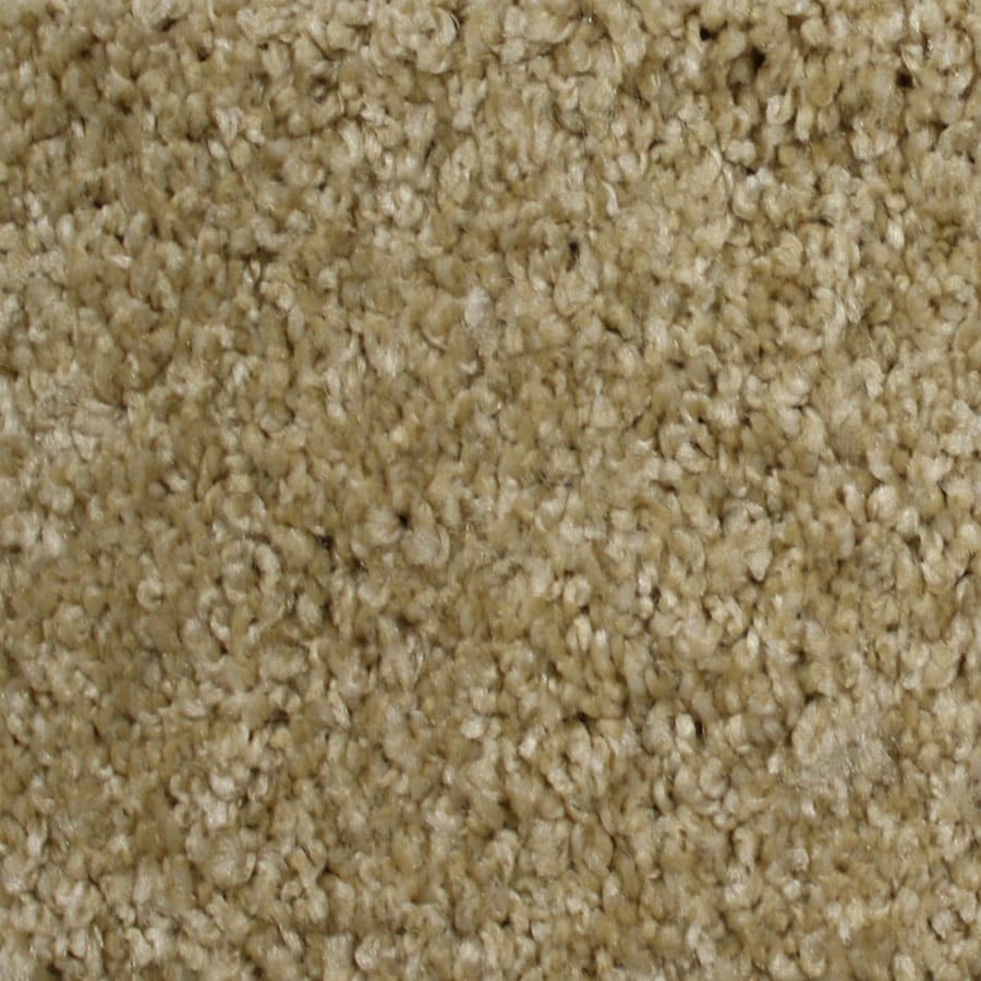 STAINMASTER S418974ELDORADO-IOUS (Sample) Essentials Notorious Eldorado Plush Carpet