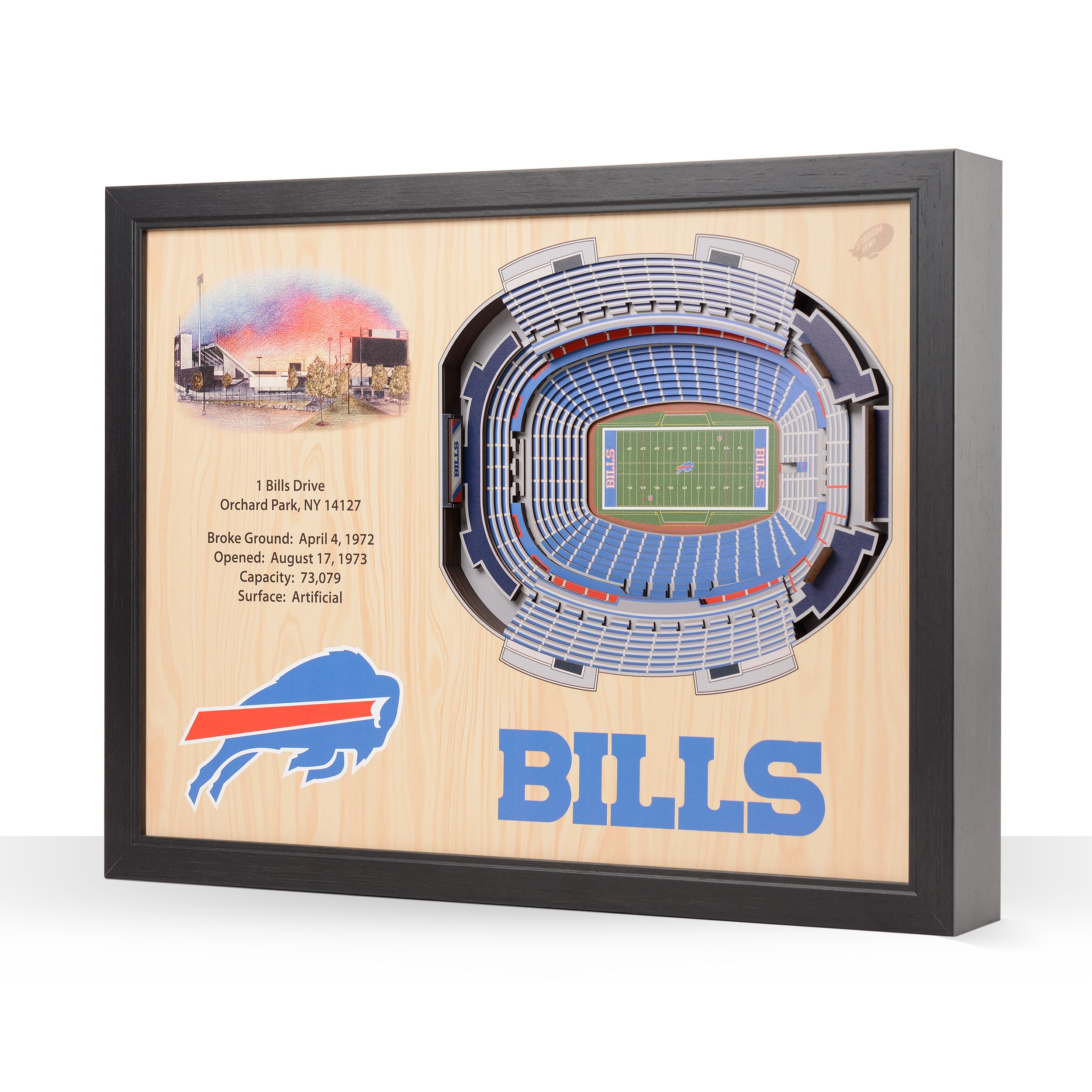 StadiumViews Buffalo Bills Youthefan Team Colors Floater Frame 19