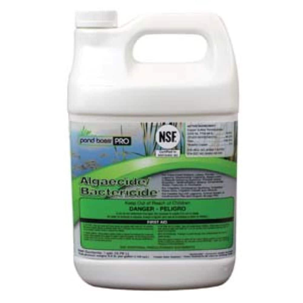 Algaecide/Bactericide, 1 gallon Pond Cleaners & Filters at Lowes.com