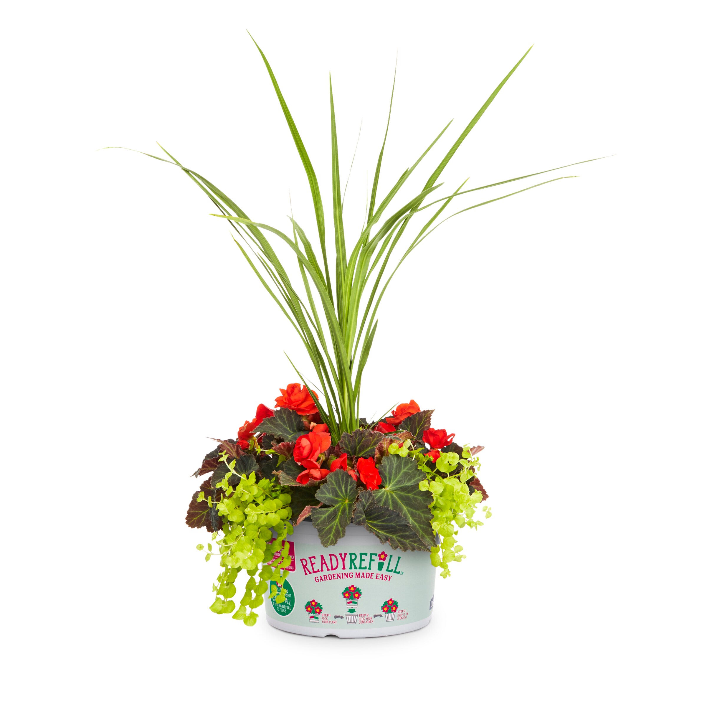 Ready Refill NURSERY Multicolor Mixed Annuals Combinations Pot