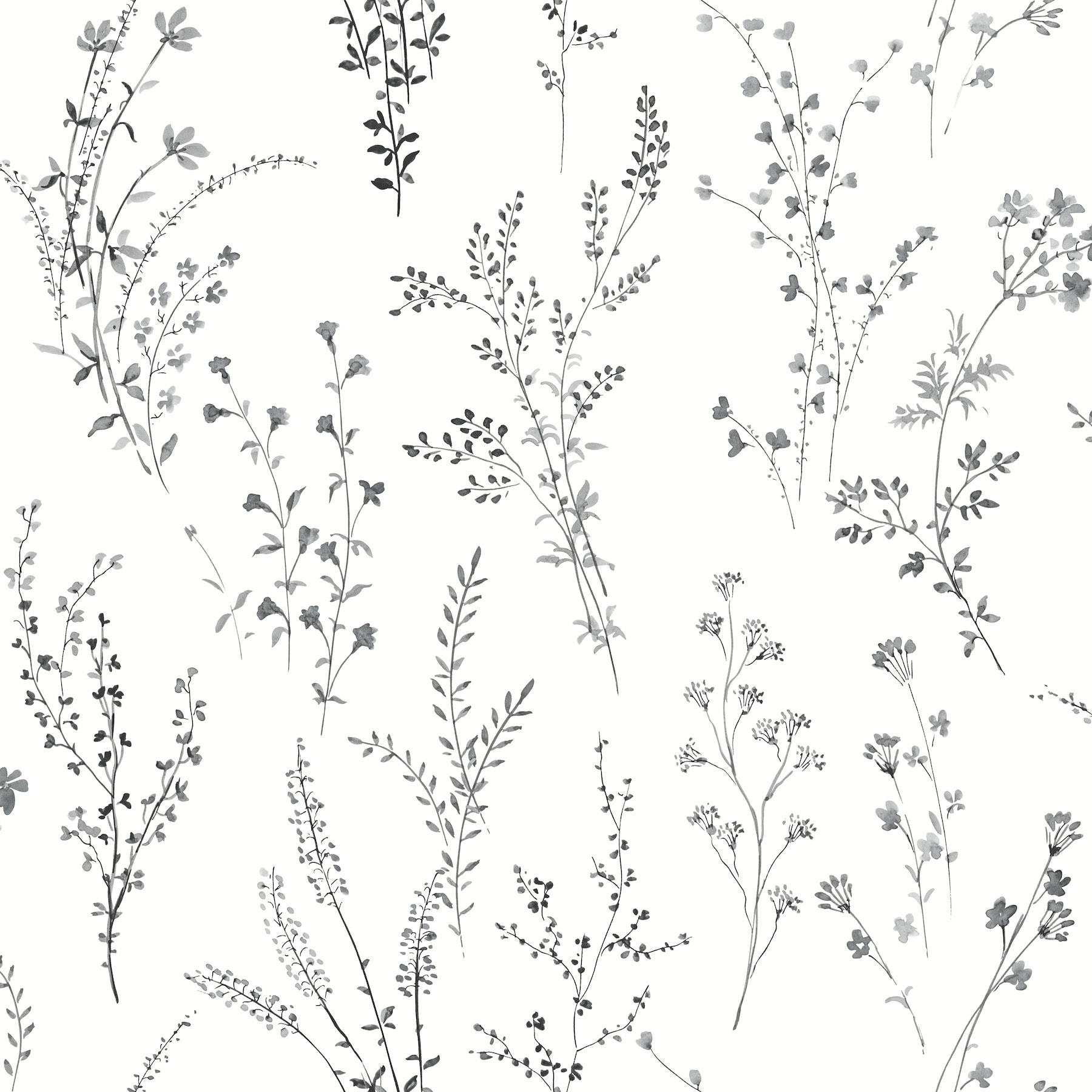 York Wallcoverings PSW1522RL Watercolor Botanicals 34.2-Sq. Feet Black Non-woven Ivy/Vines Self-adhesive Peel and Stick Wallpaper