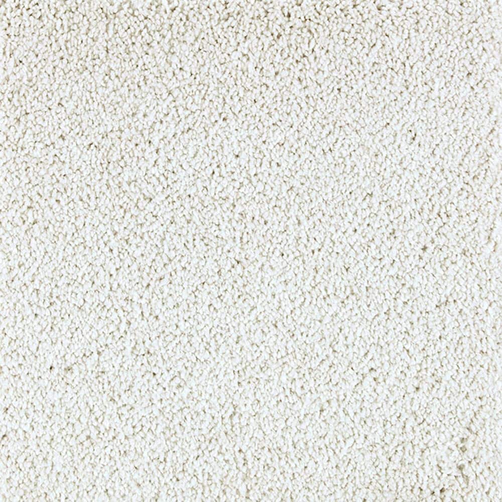 STAINMASTER PetProtect STP45-12-L003 Express Install Alluring Splendor III Vintage Brown 70-oz sq yard Triexta Textured Indoor Carpet