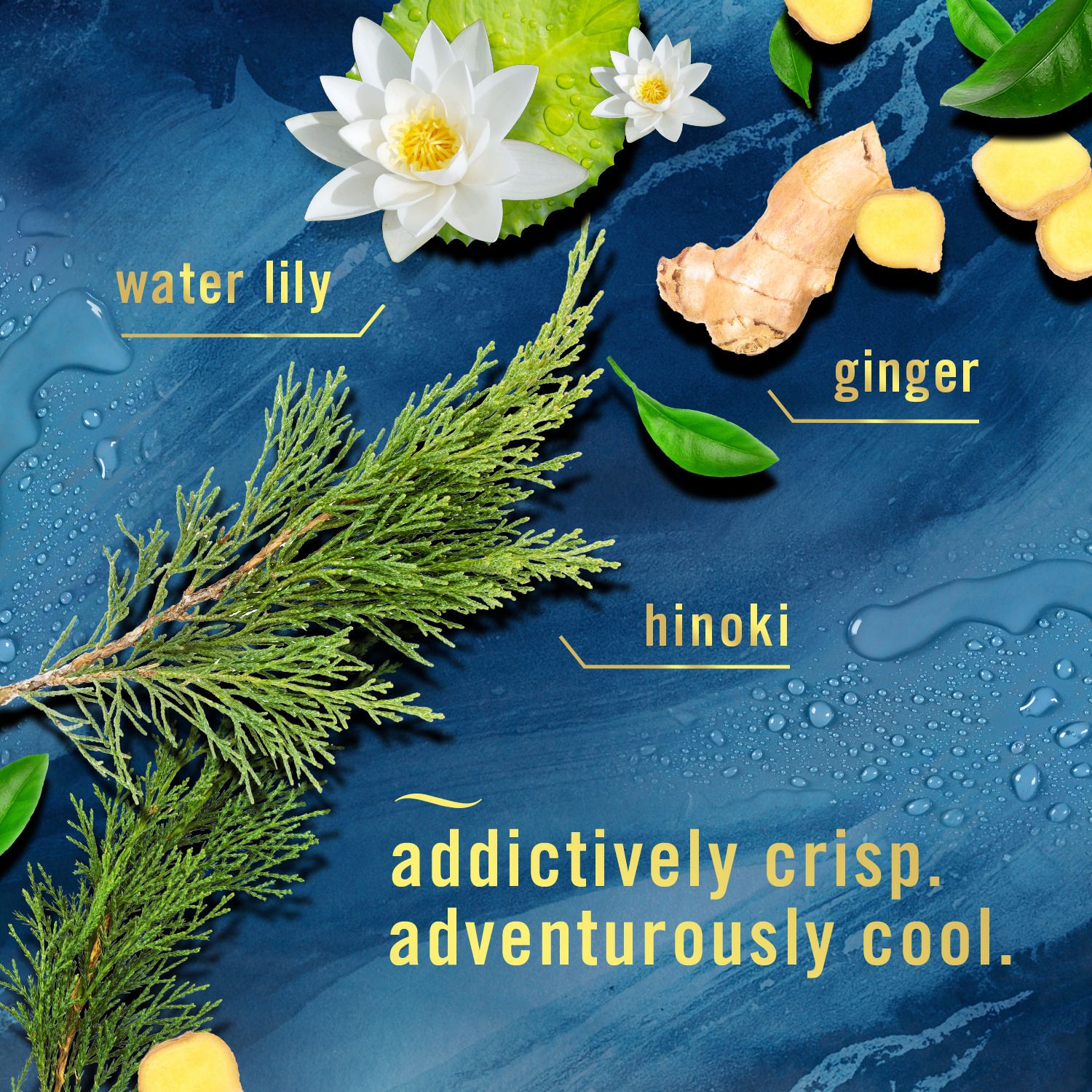 Febreze 3700048312 Air-Fresheners - View #3