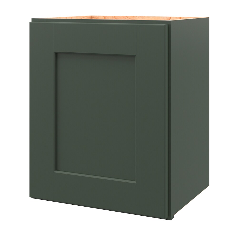 allen + roth Galway 15-in W x 18-in H x 12-in D Sage Door Wall Fully ...