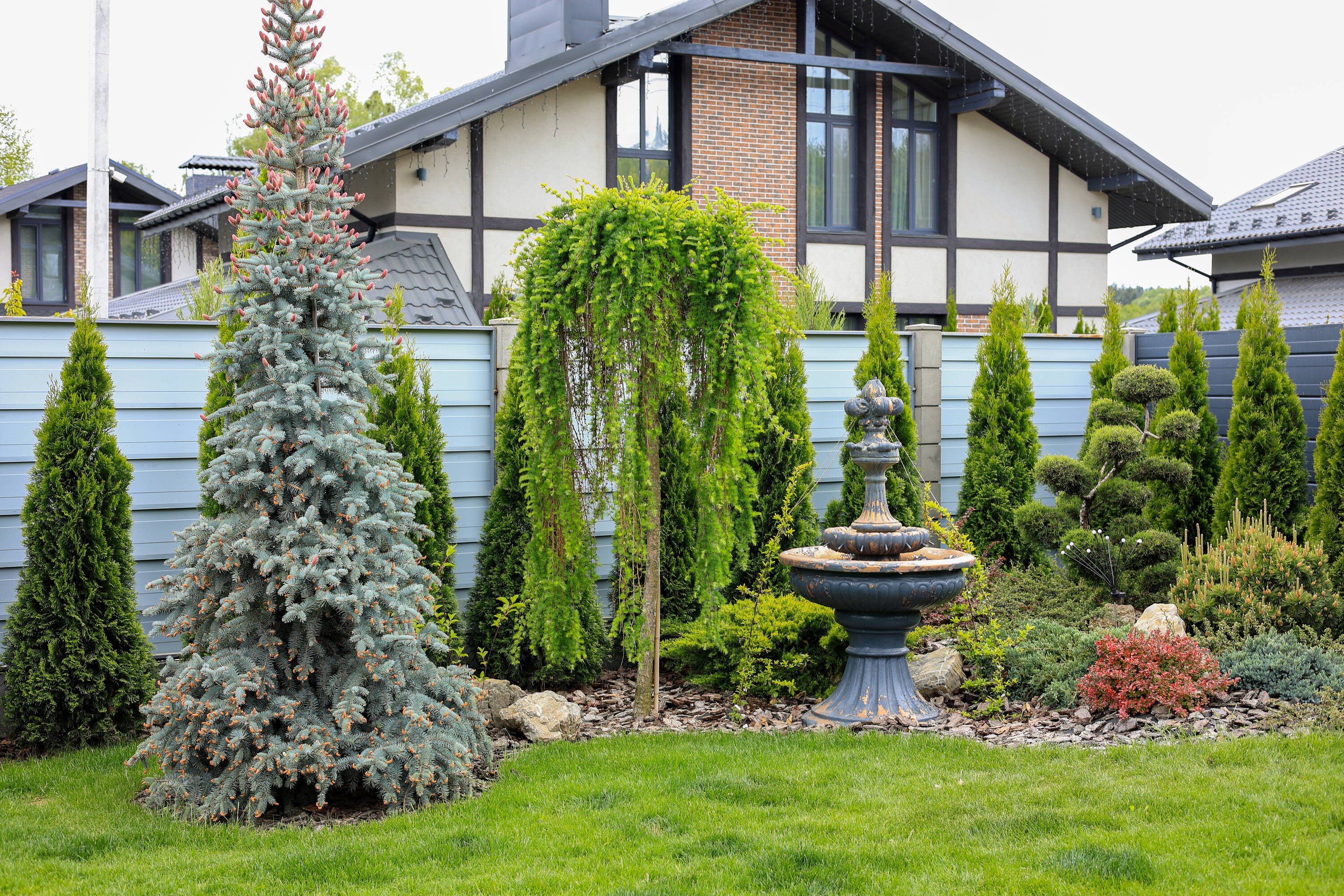 Woodace 2254072 Plant-Food - View #6