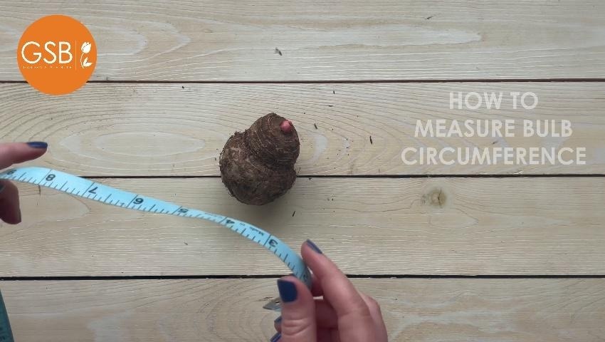 A thumbnail for the video