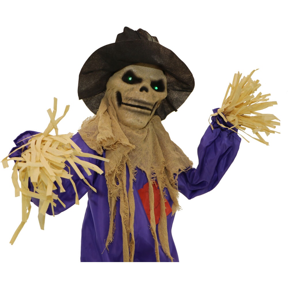 Haunted Hill Farm HHSCR-5FLS Halloween-Animatronics - View #13