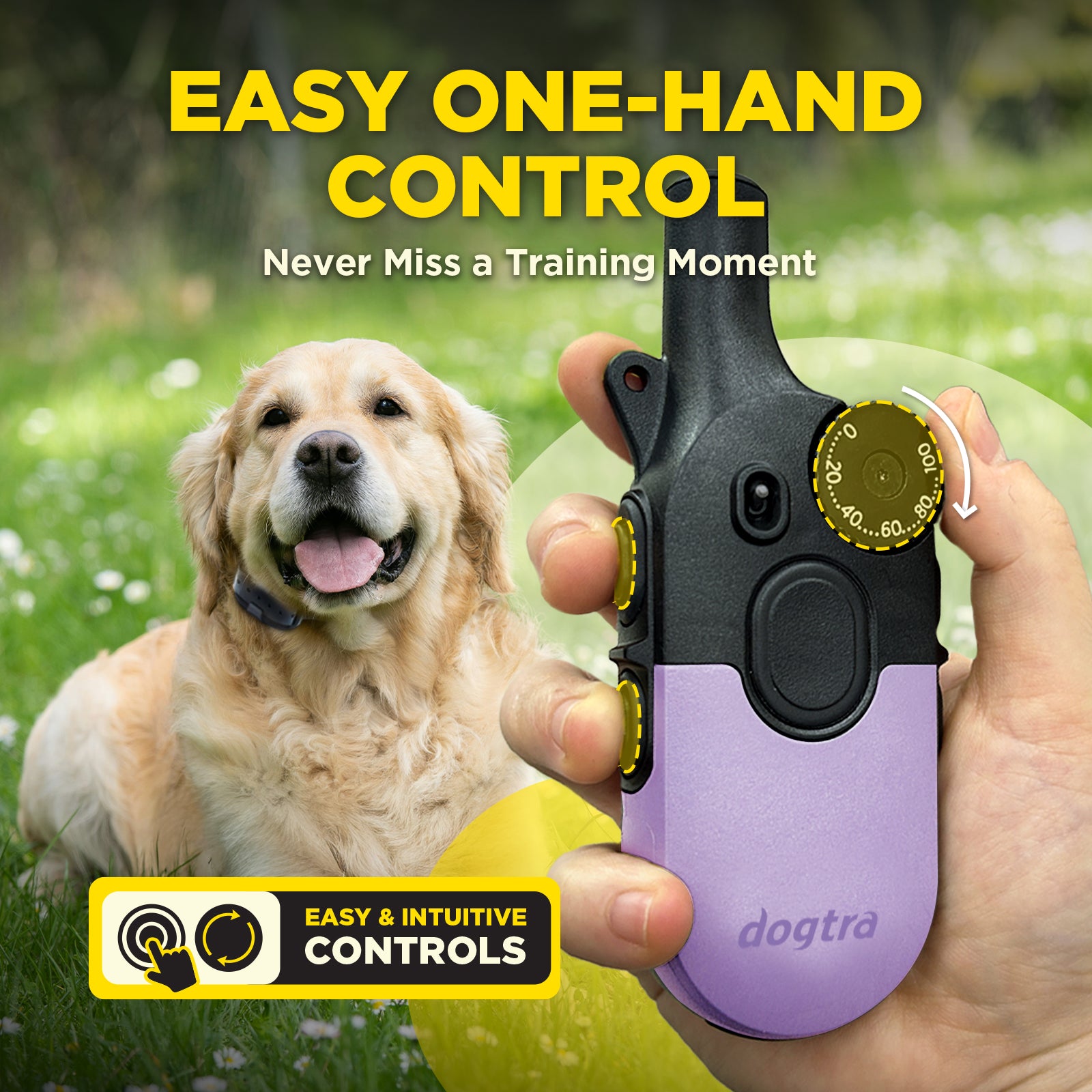 Dogtra 644622021274 Pet-Training-Collars - View #4
