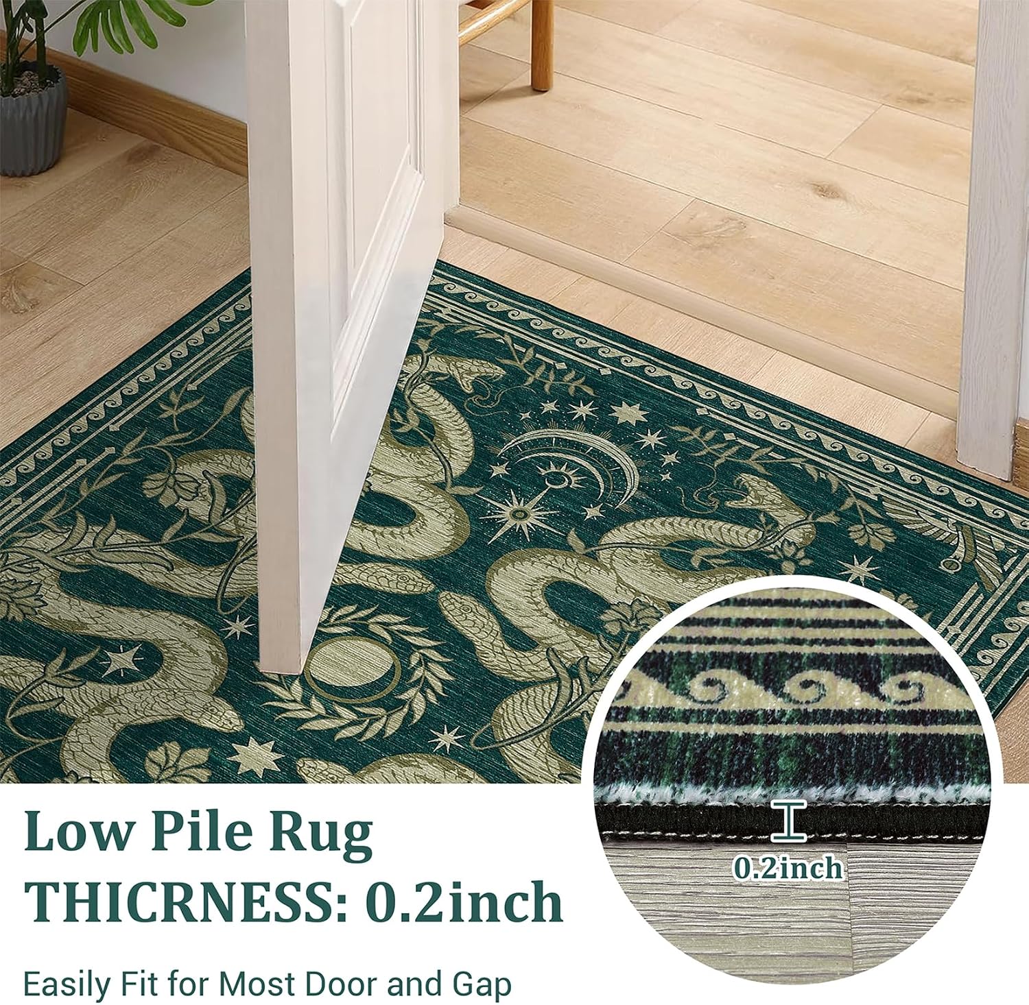 Assile XH260825262 rugs - View #6