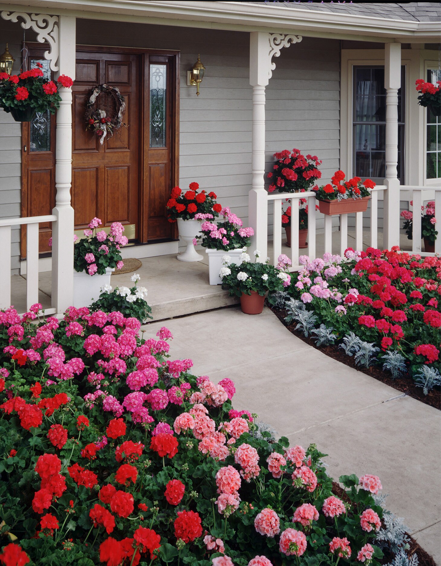 Lowe's 560004 annuals - View #8