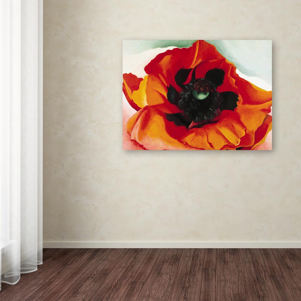 Trademark Fine Art ALI10055-C2432GG Wall-Art - View #3