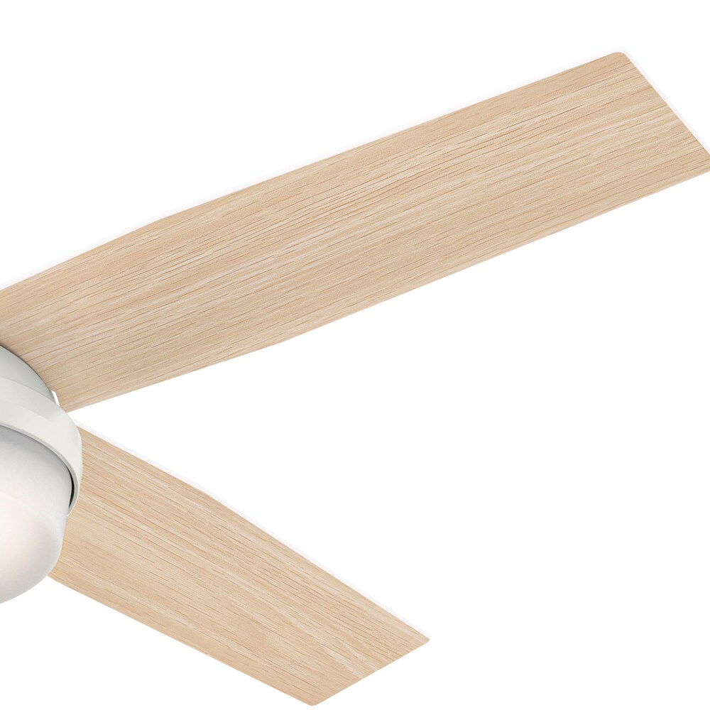Hunter 59252 Ceiling-Fans - View #9