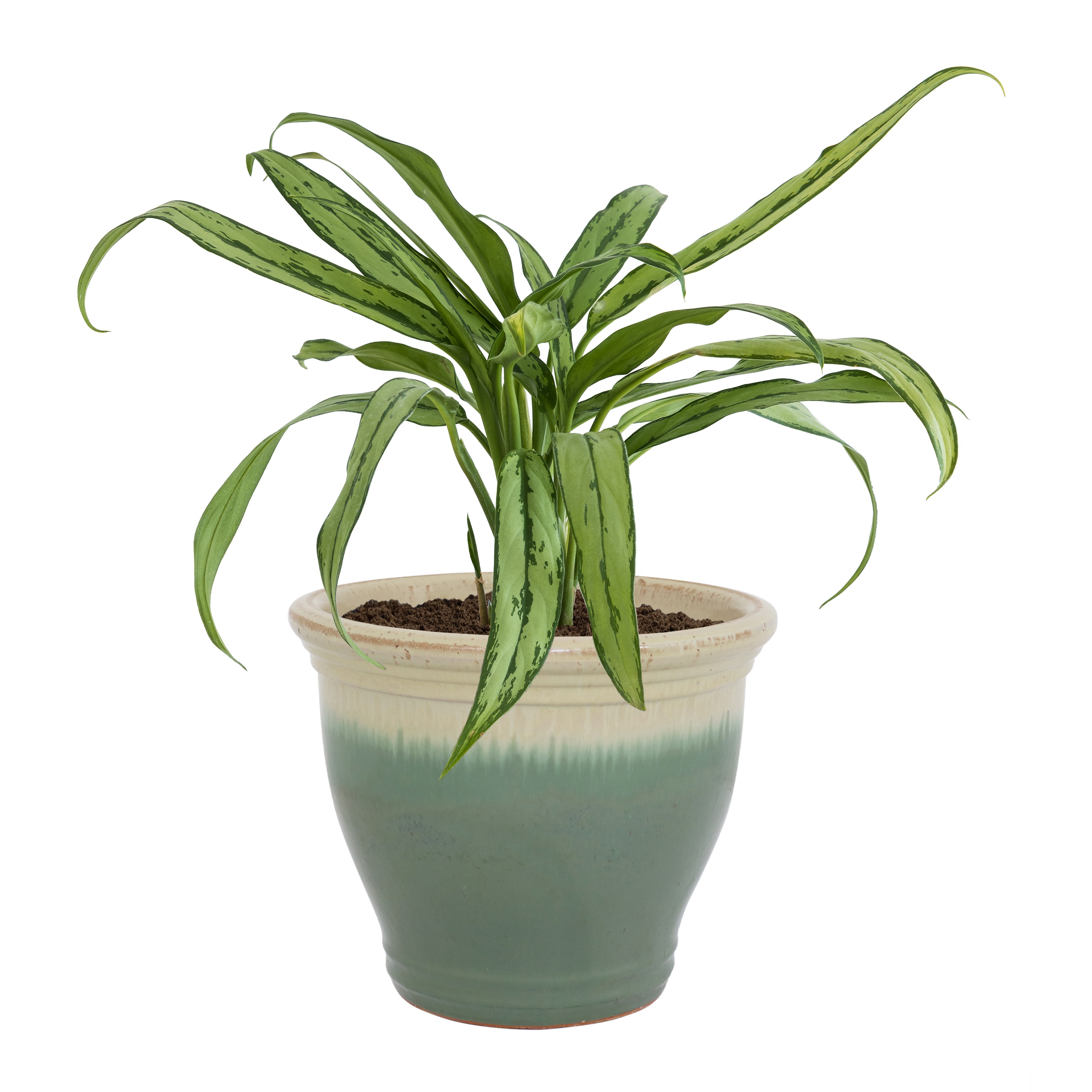 Sunnydaze Decor AP-988 Planter-Window-Box - View #13