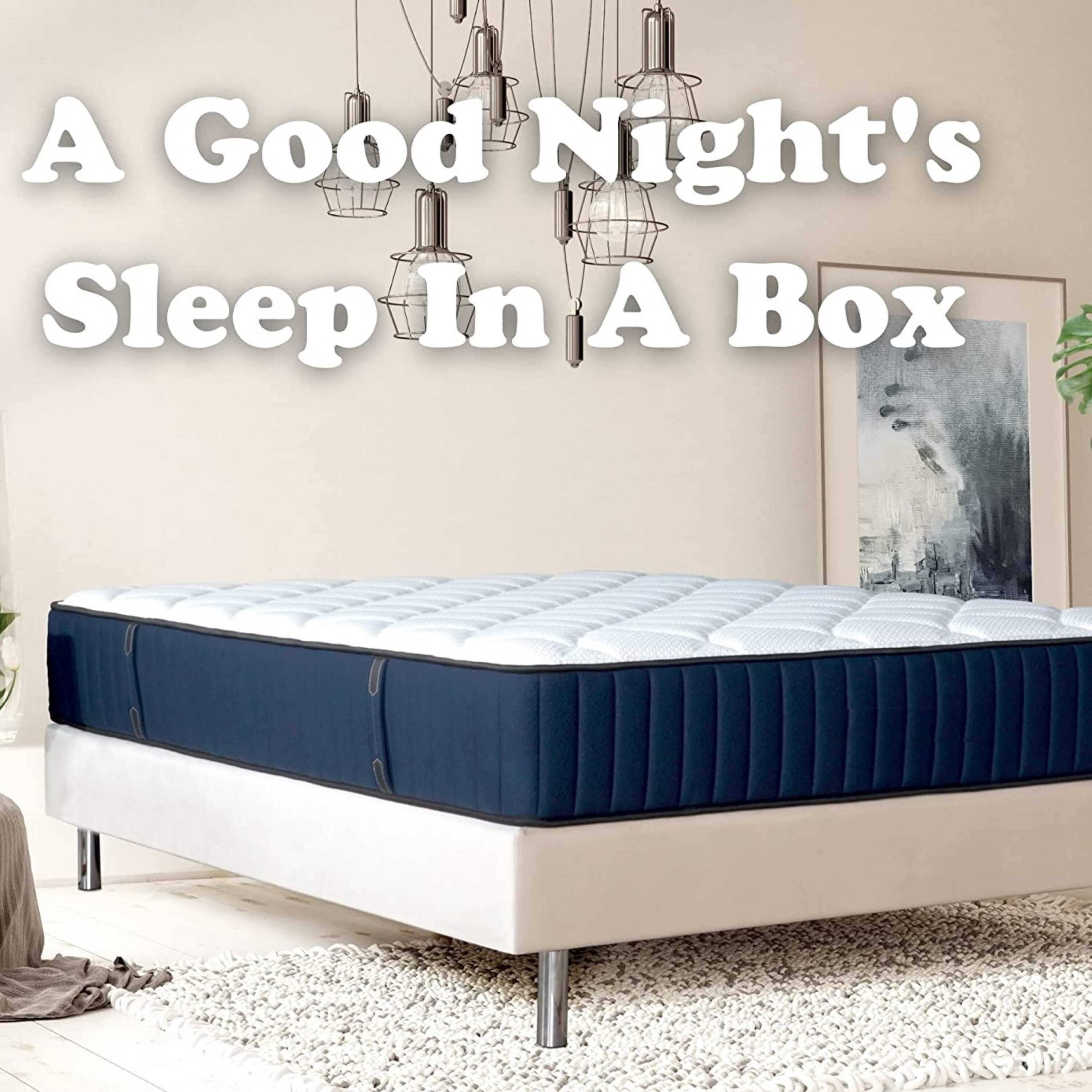 Maocao Hoom JL6P206677 Mattresses-Boxsprings - View #8