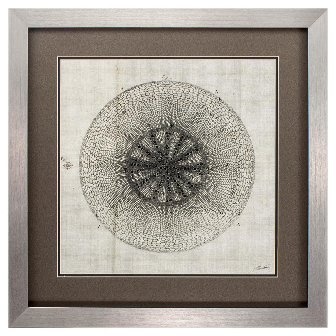 HomeRoots 365733 Silver Wood Framed 26-Inches H x 26-Inches W Asian Wood Print