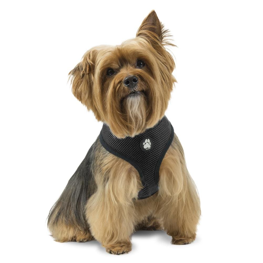 YOULY Reflective Adjustable Padded Black Dog Harness, Small