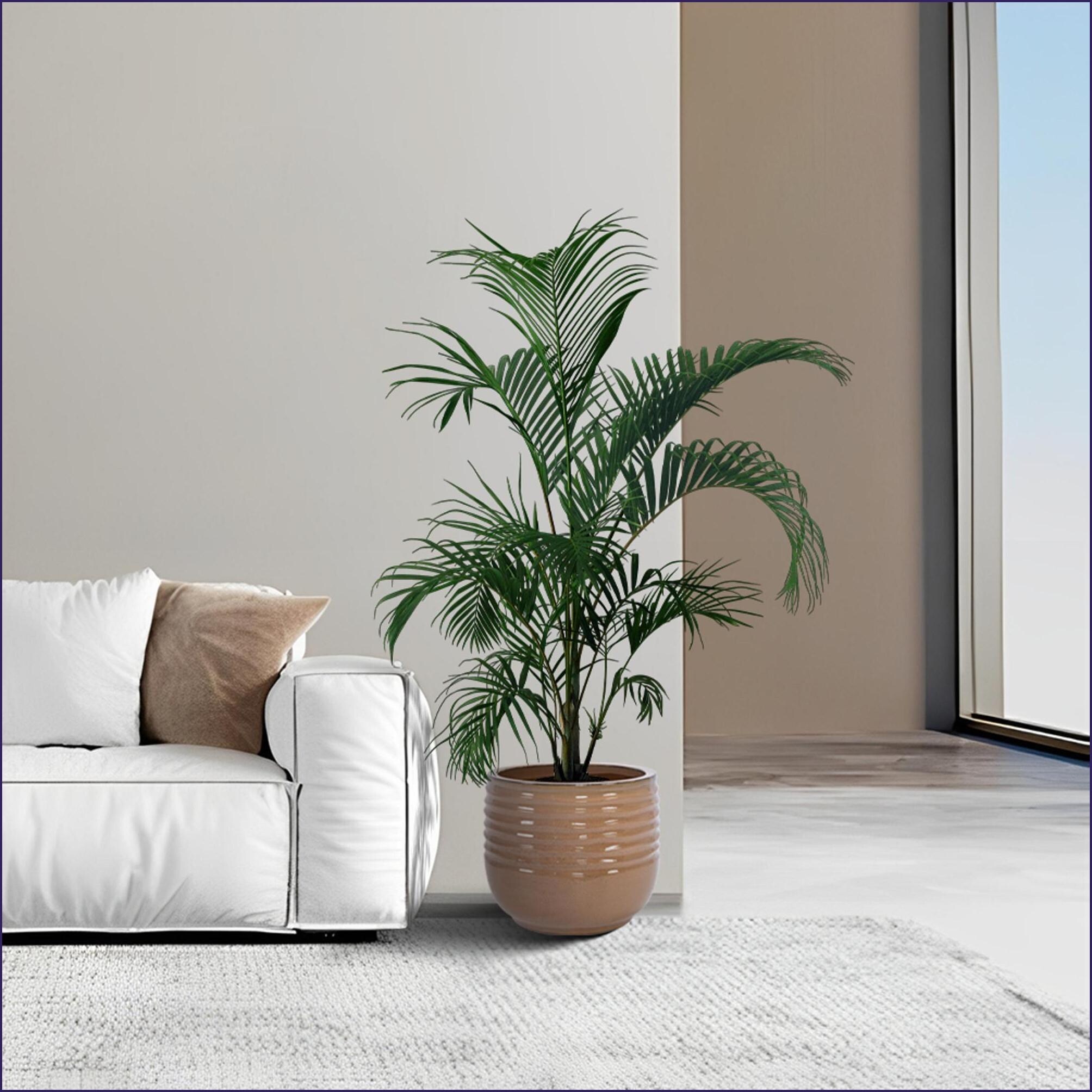 Watnature 8HVEF9UAJQ6Z Planter-Window-Box - View #10